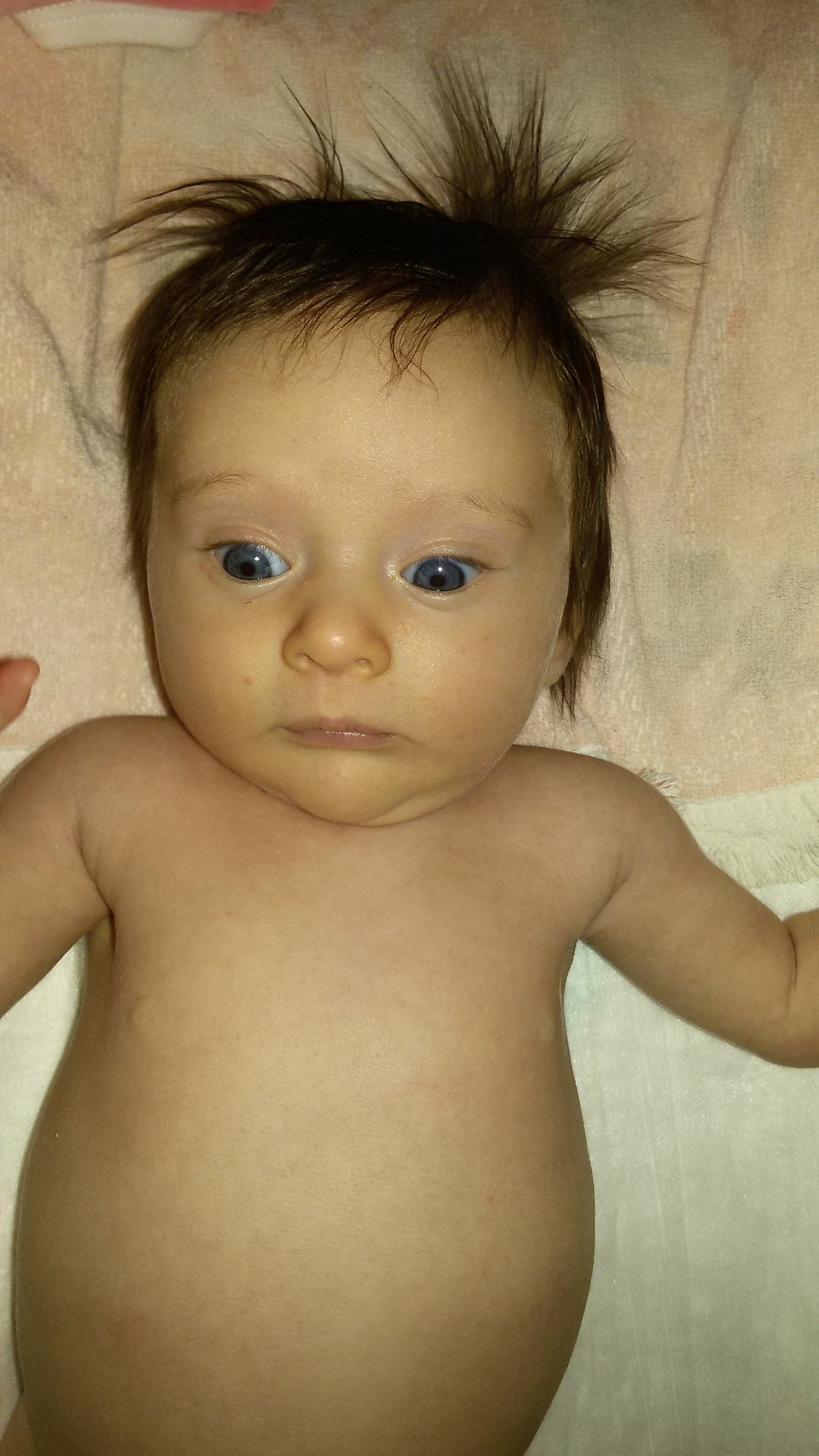 quei capelli che non andavano mai giu