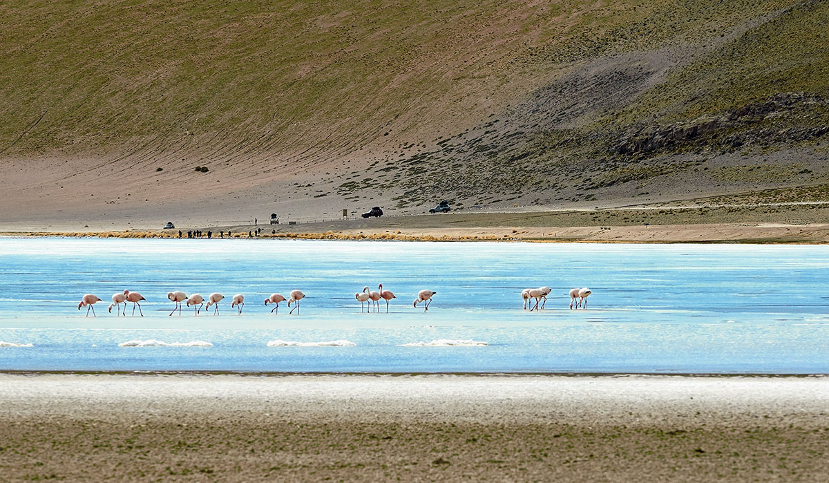 laguna honda bolivia