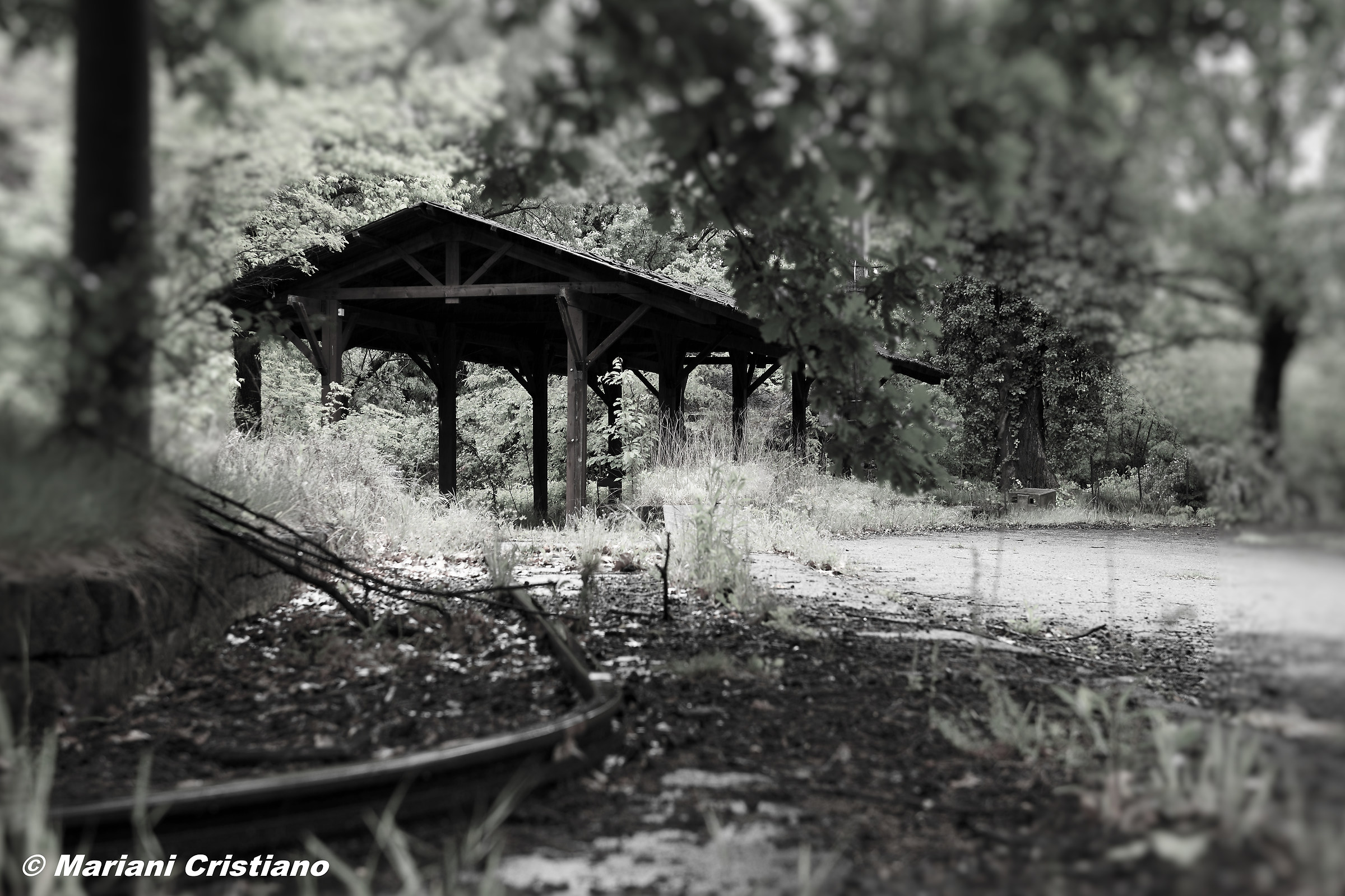 abandoned park
