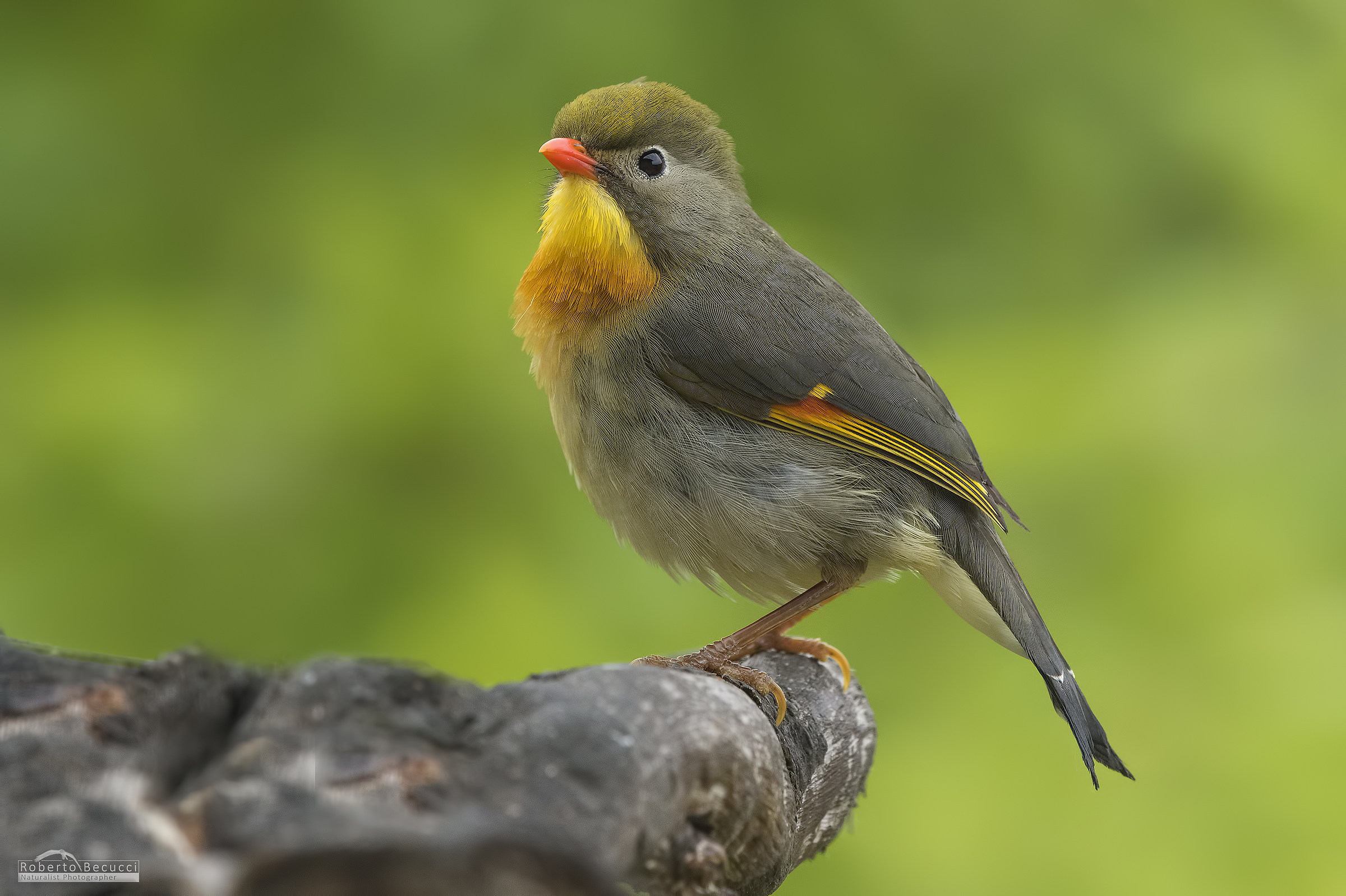 I'm finally back ...!