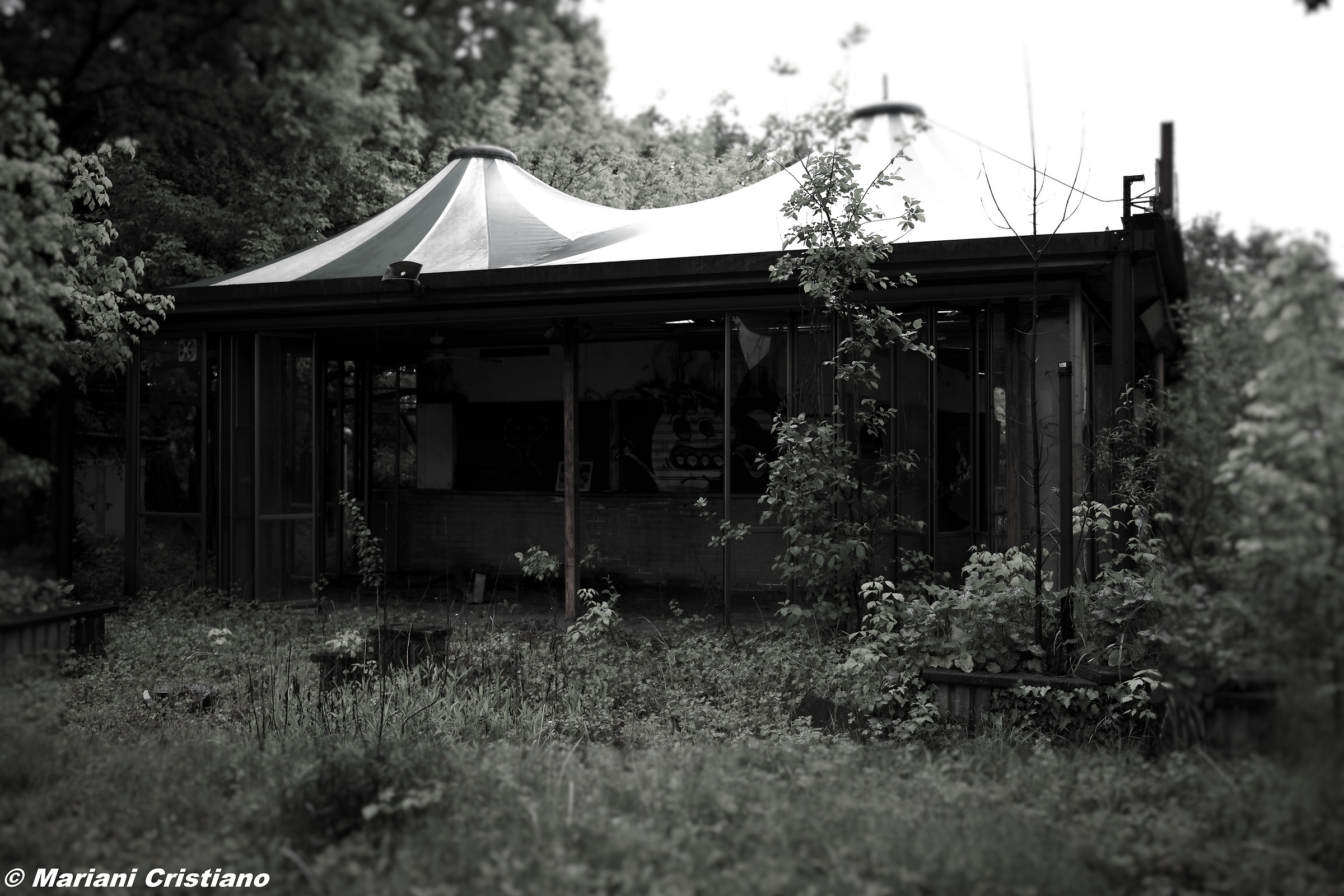 abandoned park greenland