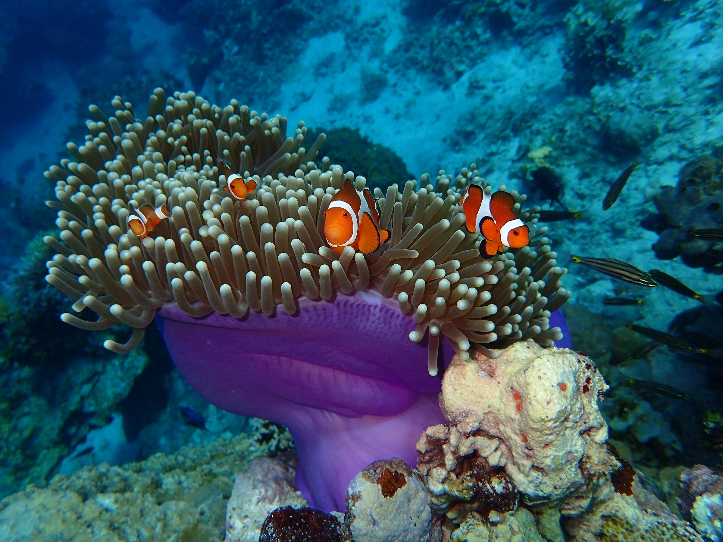 Non avvicinarti... se no sono guai!