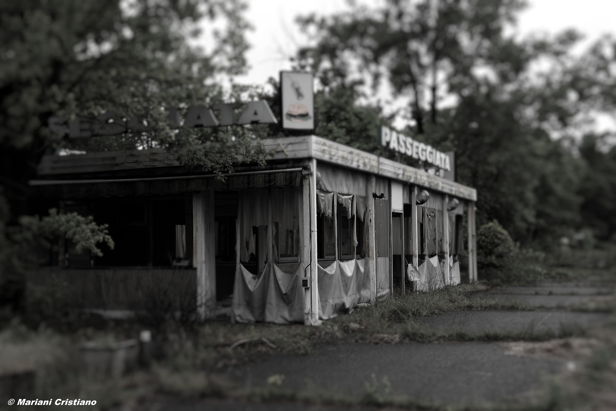 abandoned park greenland