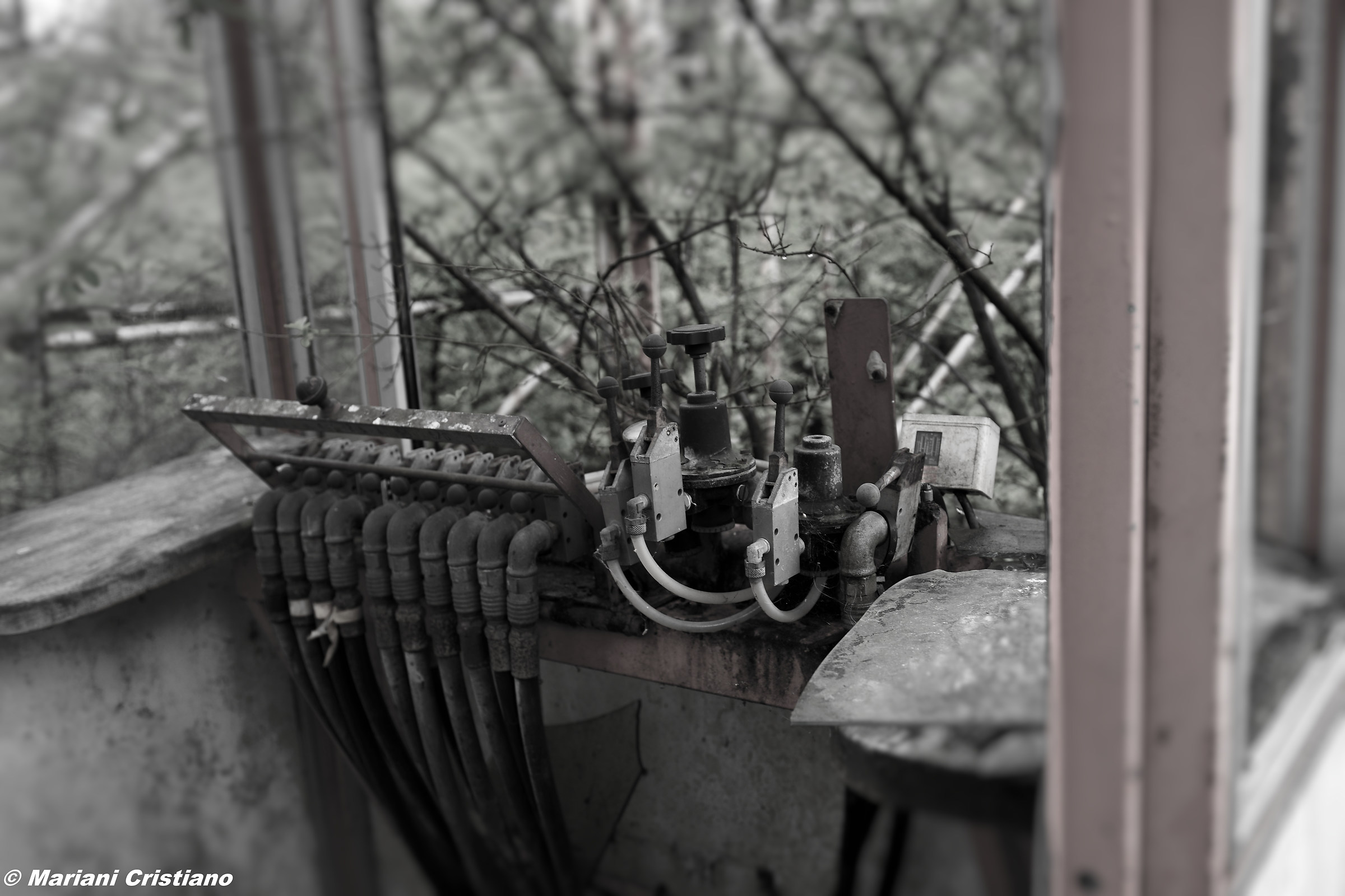 abandoned park greenland