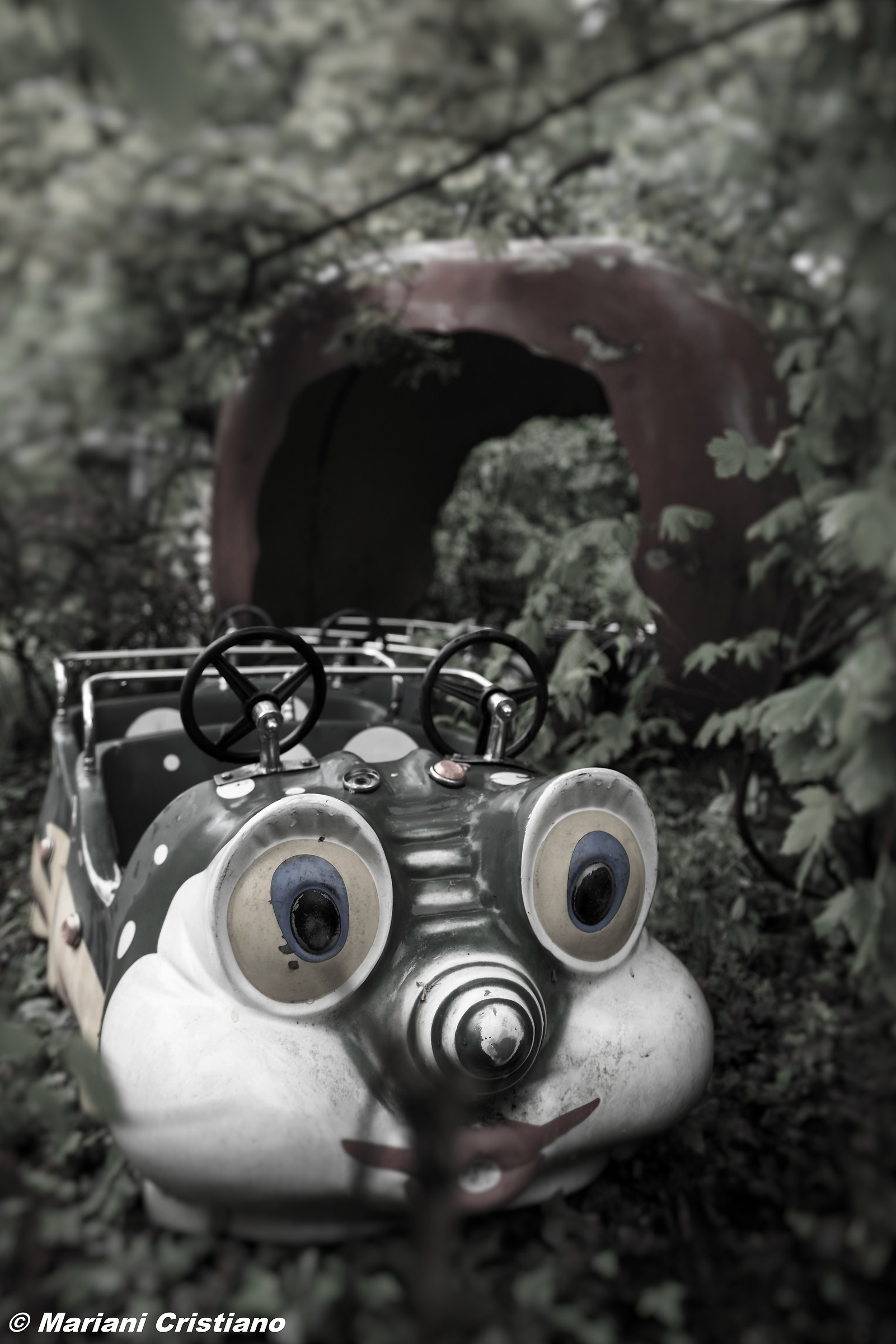 abandoned park greenland