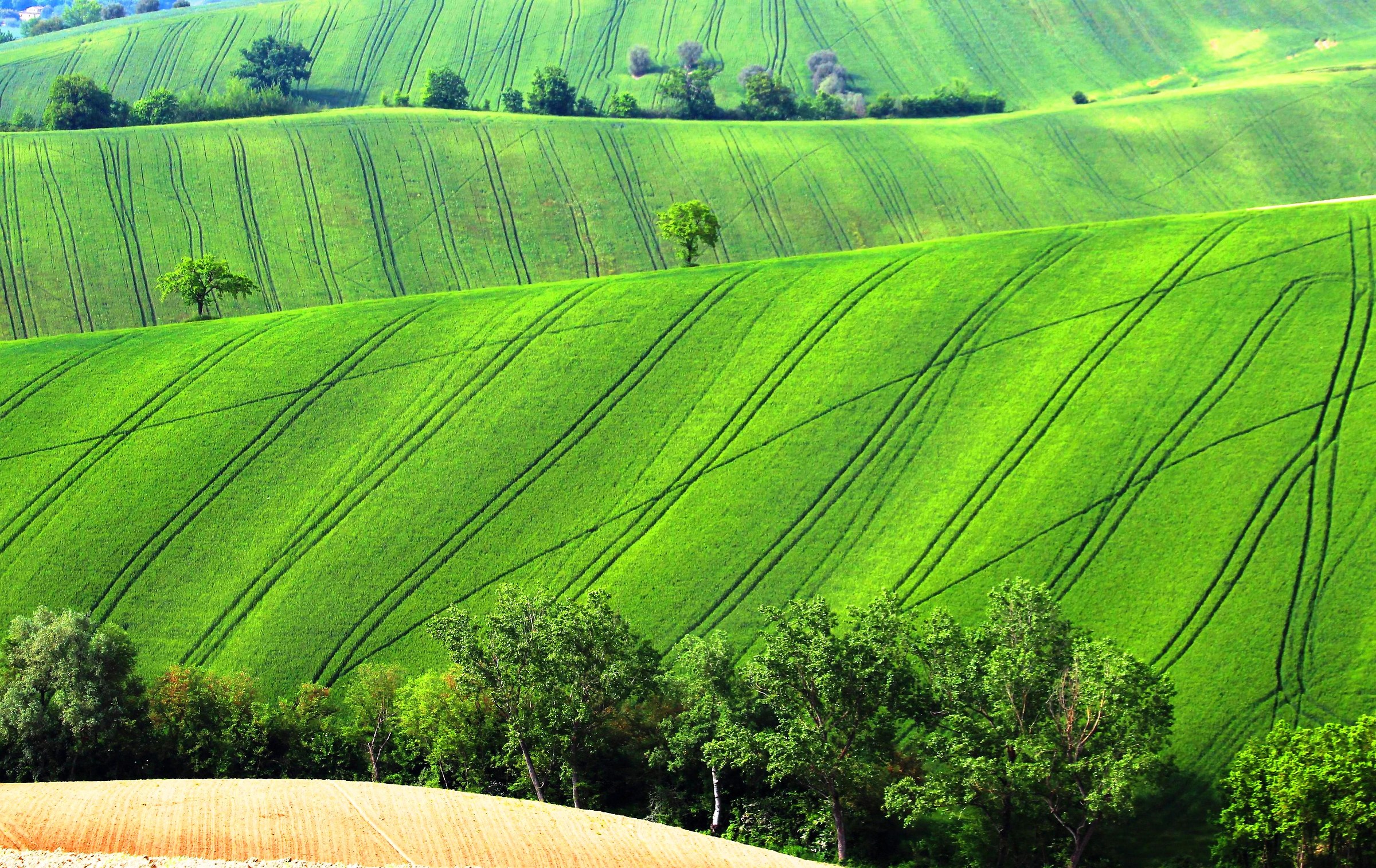 Green hills Maceratesi