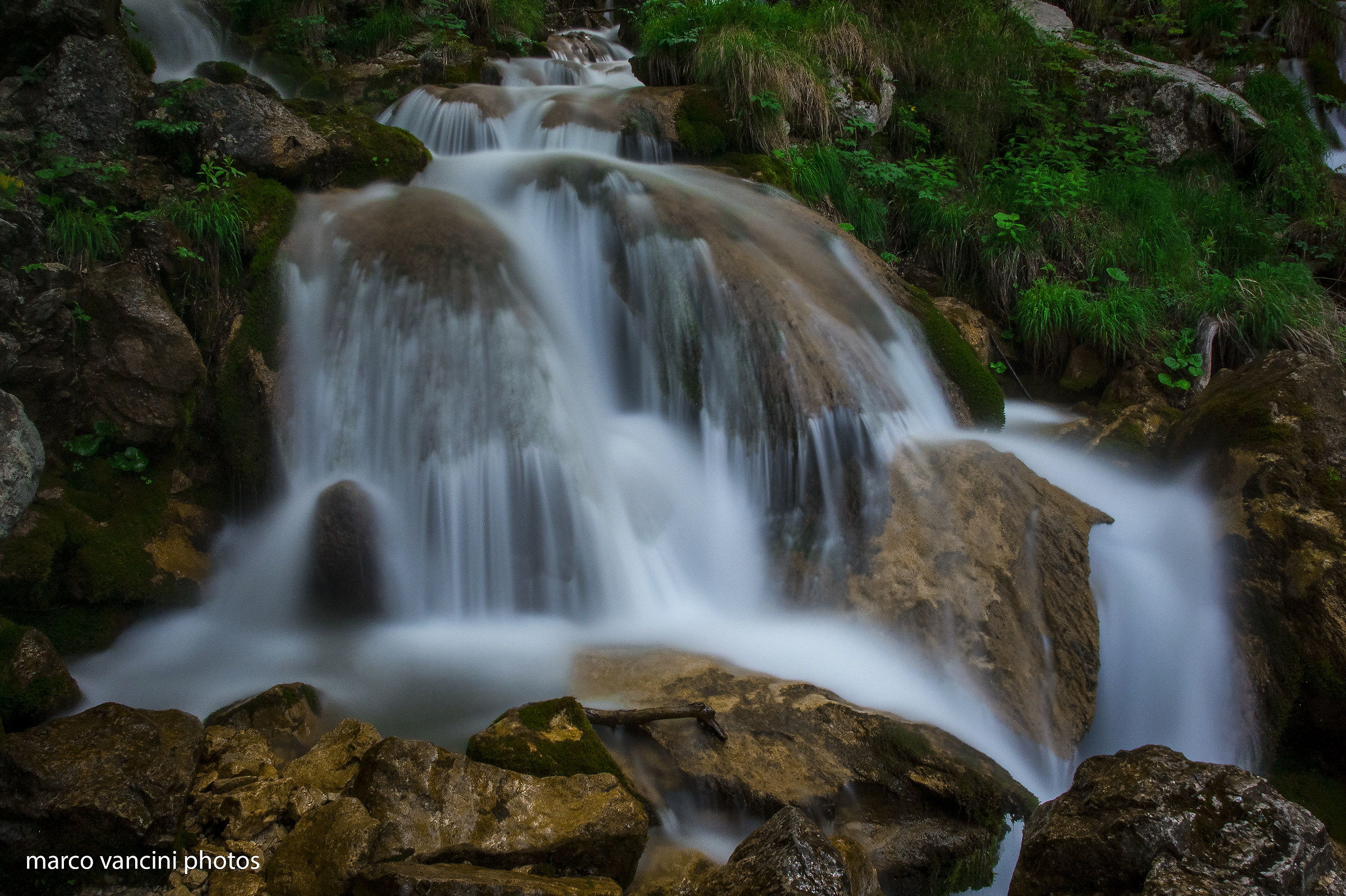 the mountain streams