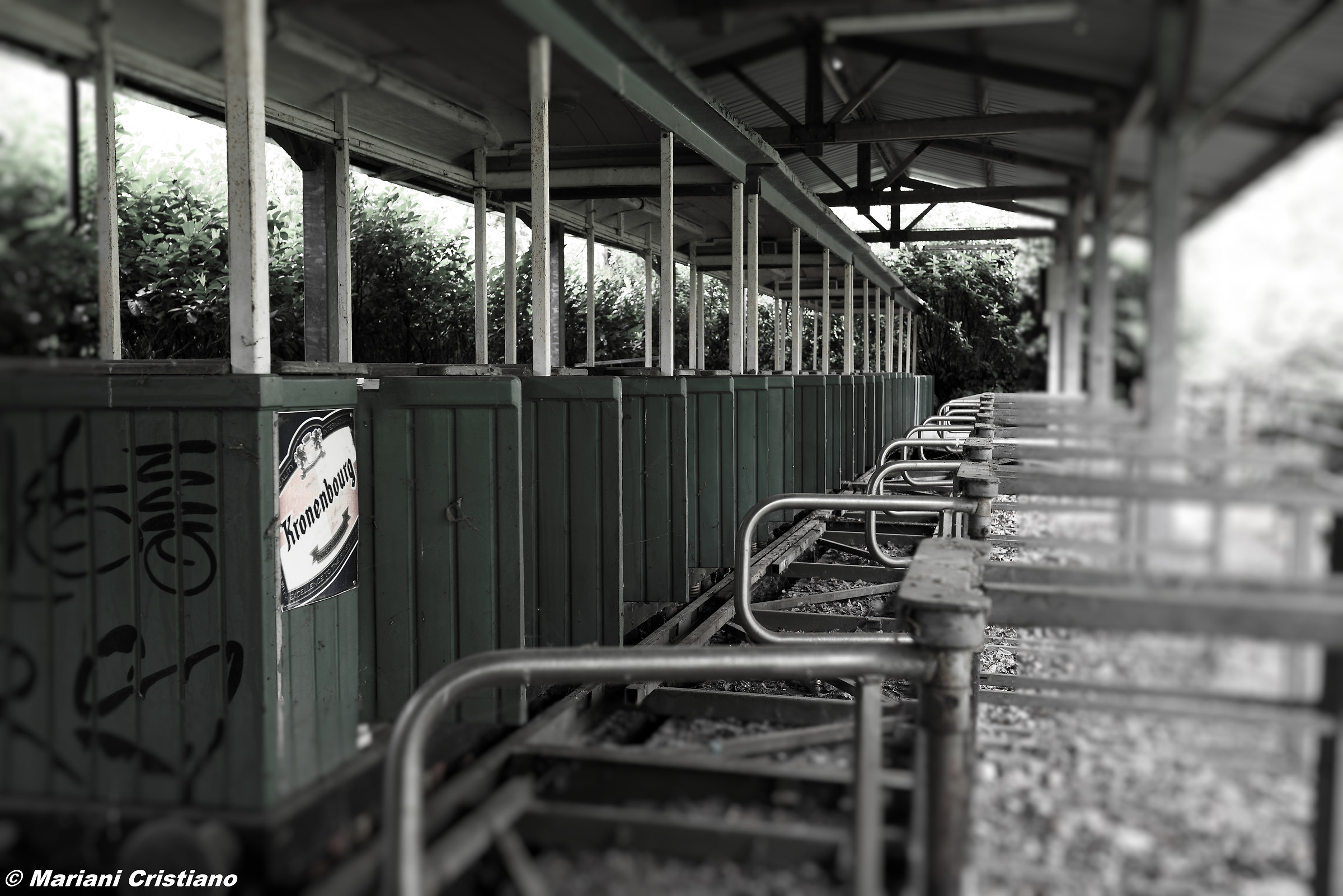abandoned park greenland