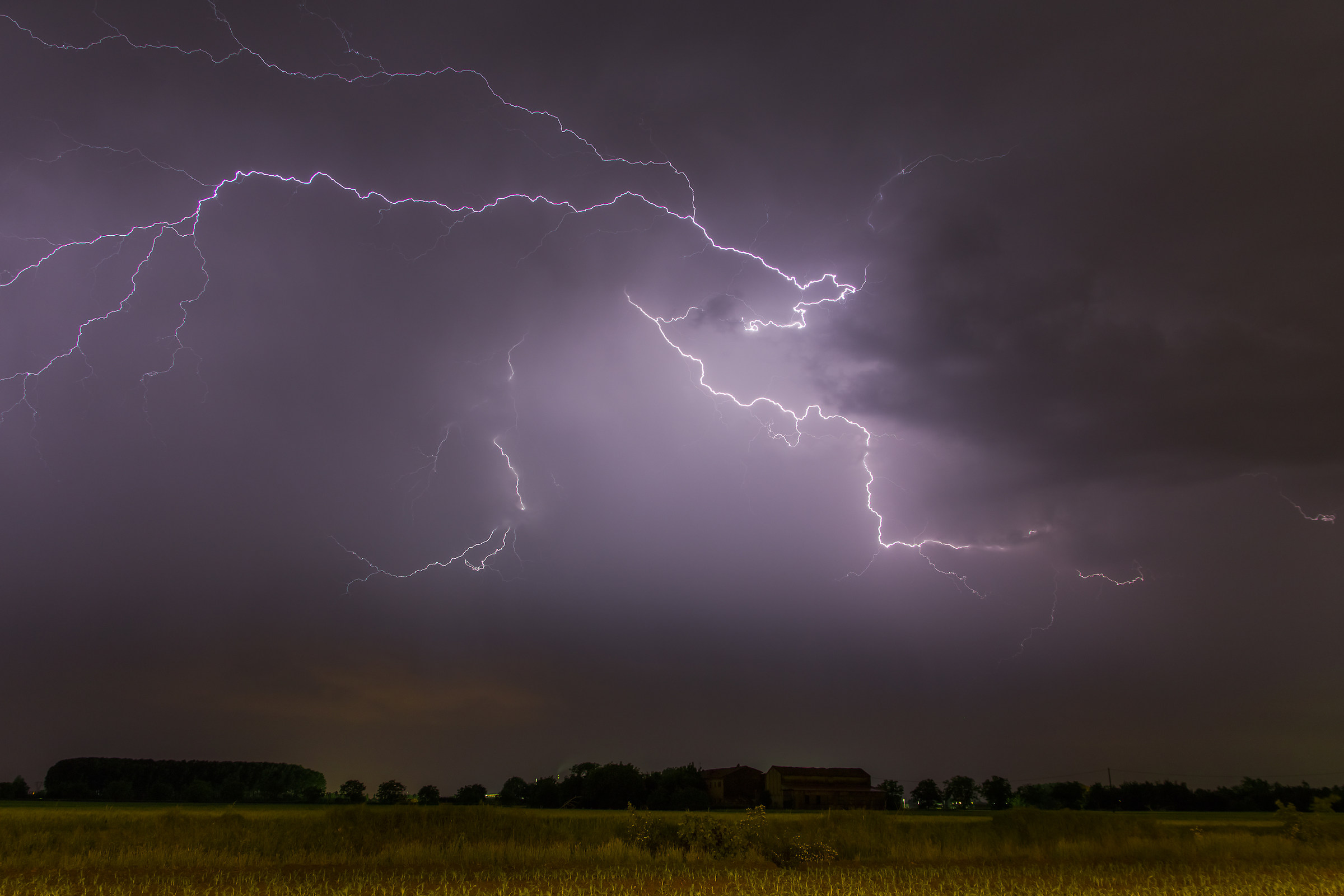La forza della natura