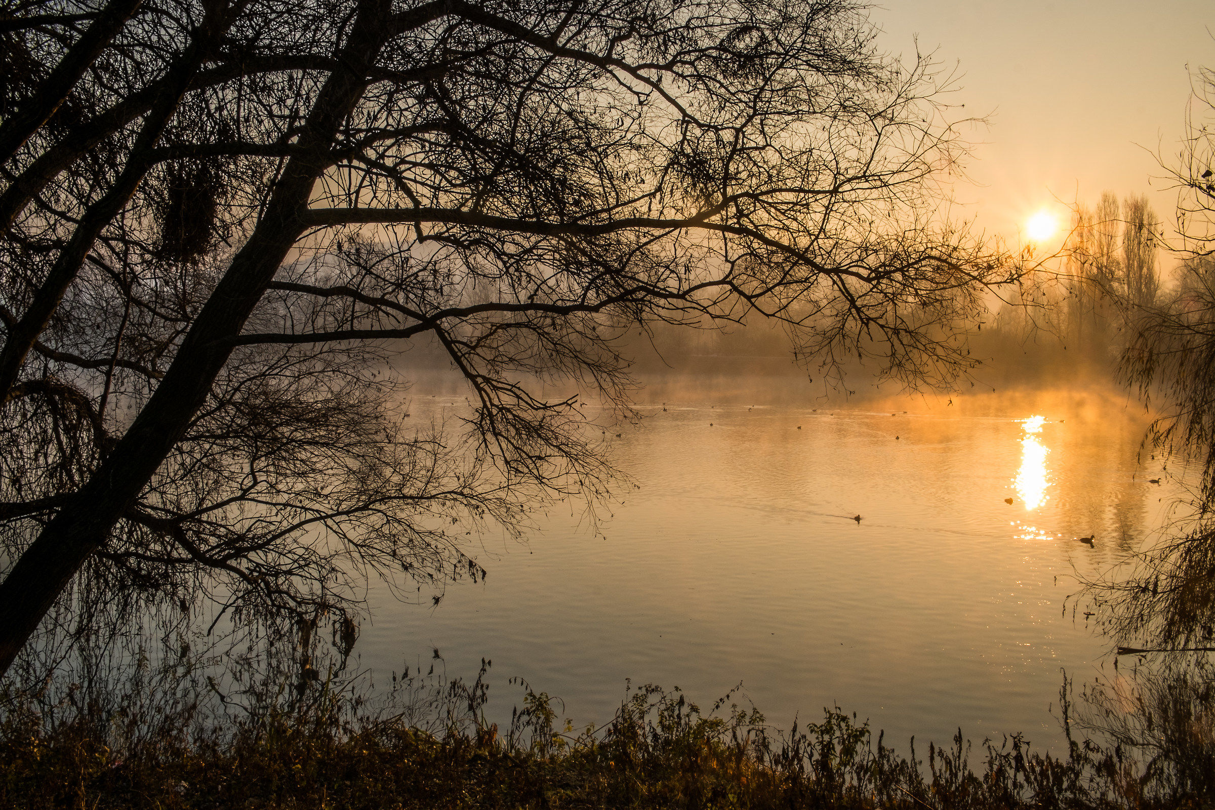 parco colletta torino