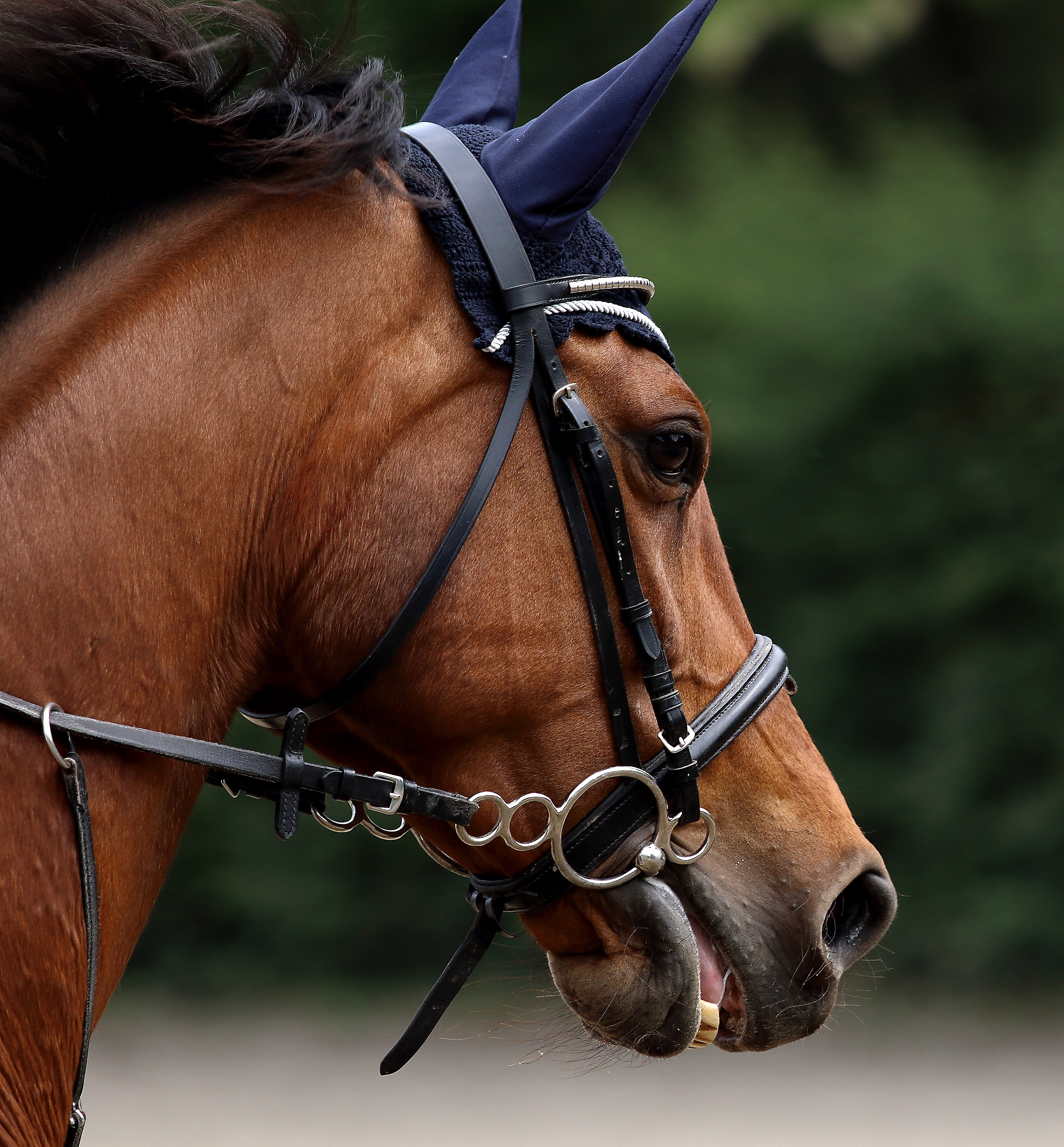 In the race in Val Fregia, Adda North Park
