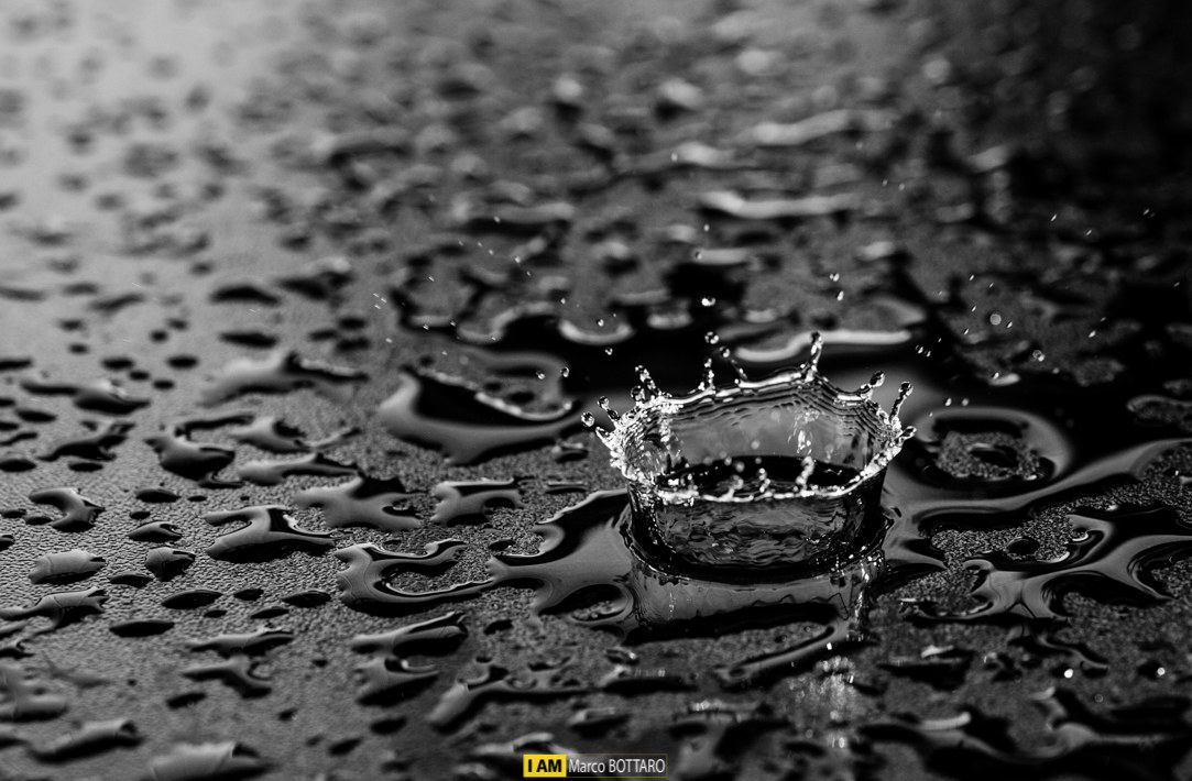 sua maesta' "la regina"