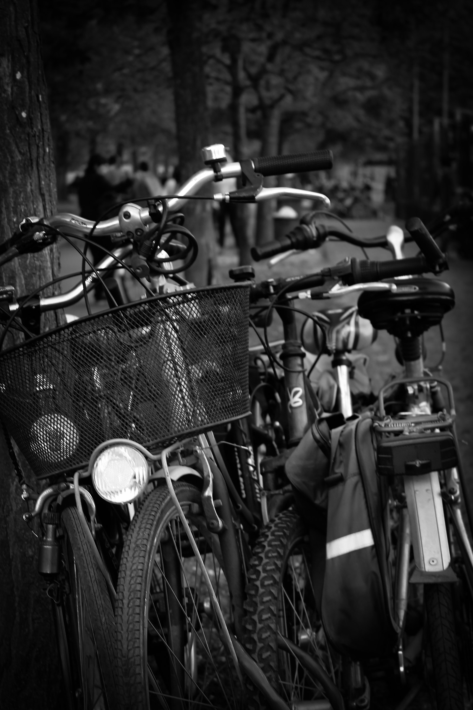 I want to ride my bicycle