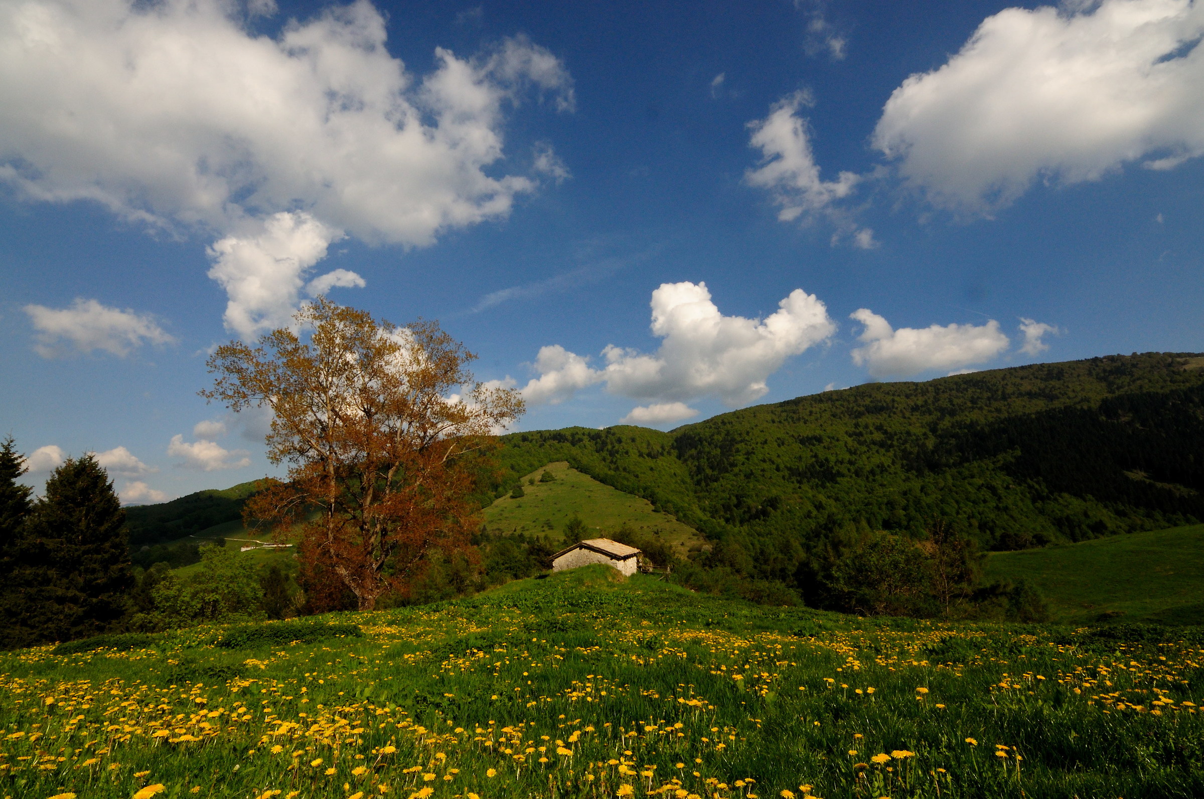 Monte Baldo Tour Malgas