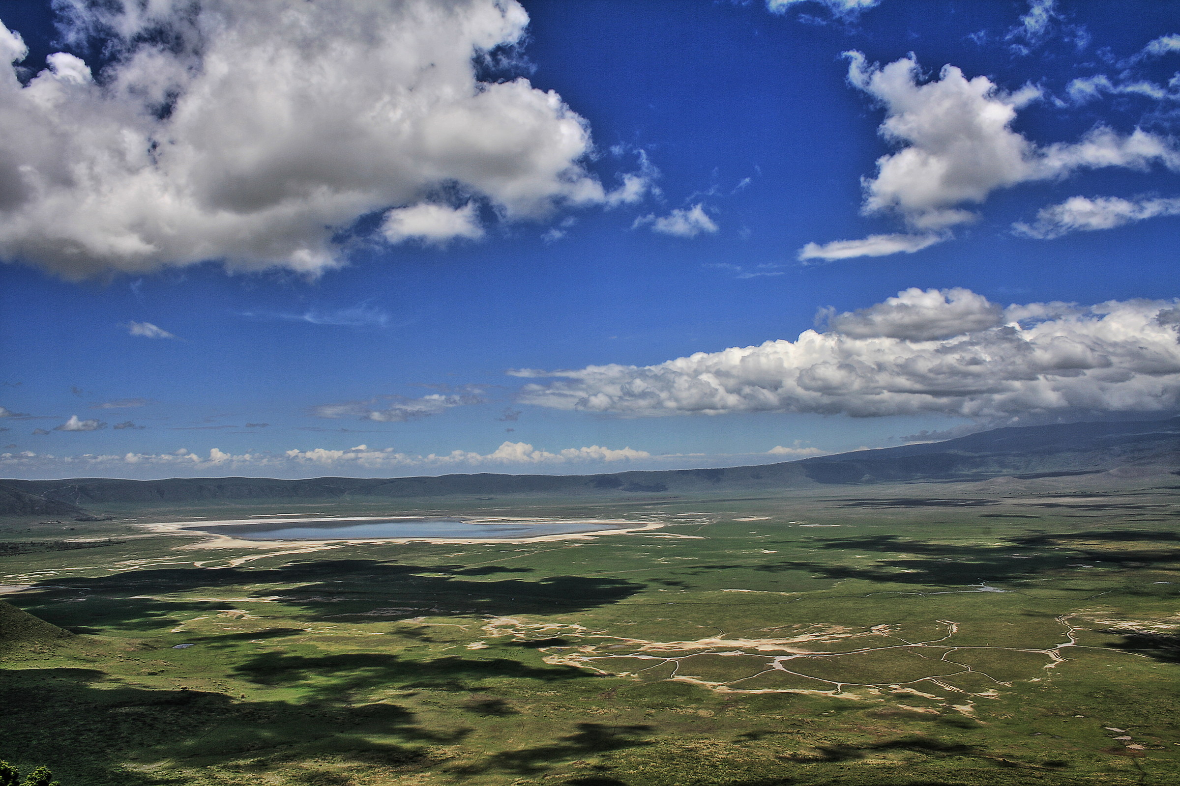 Ngorongoro