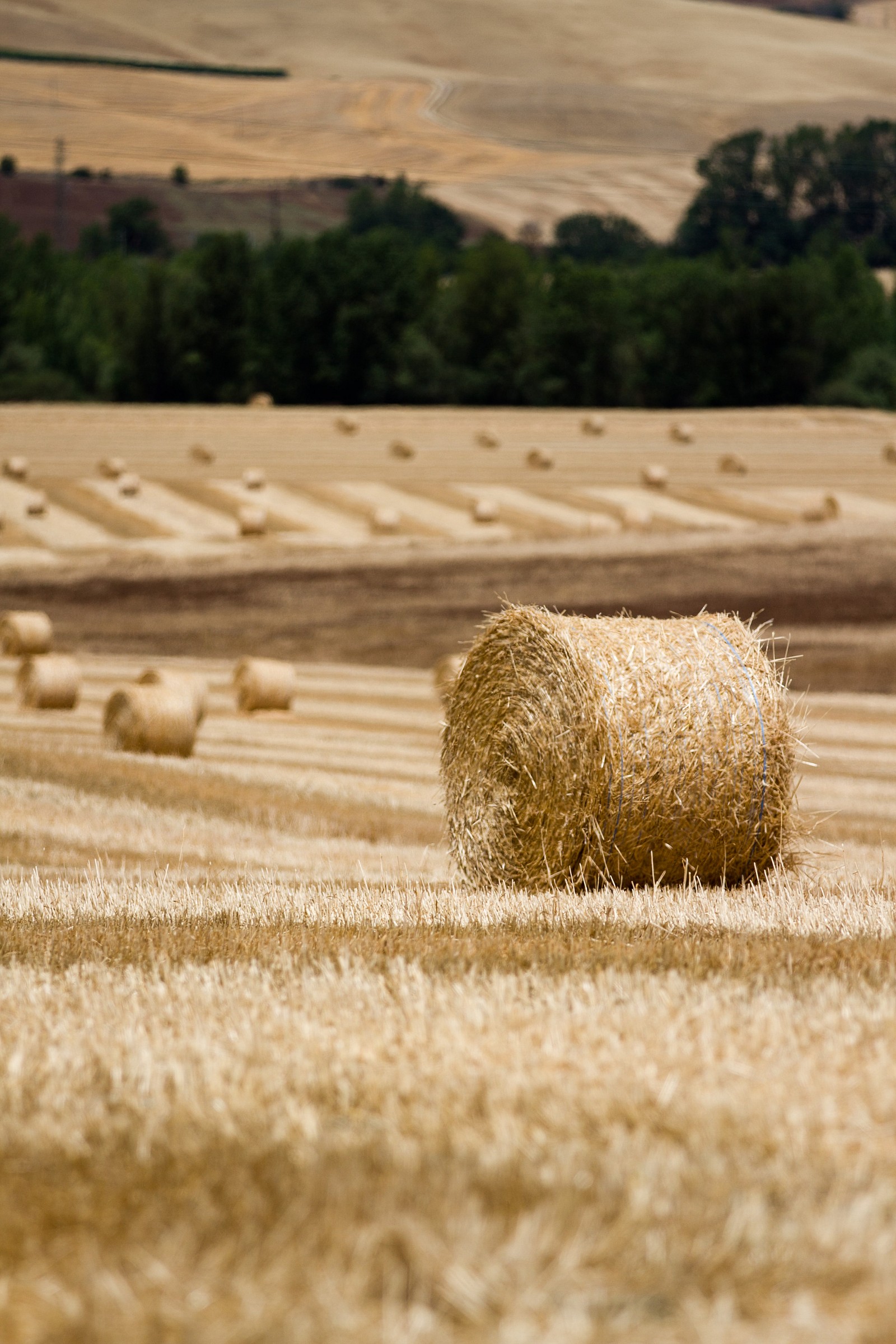 Val d'Orcia