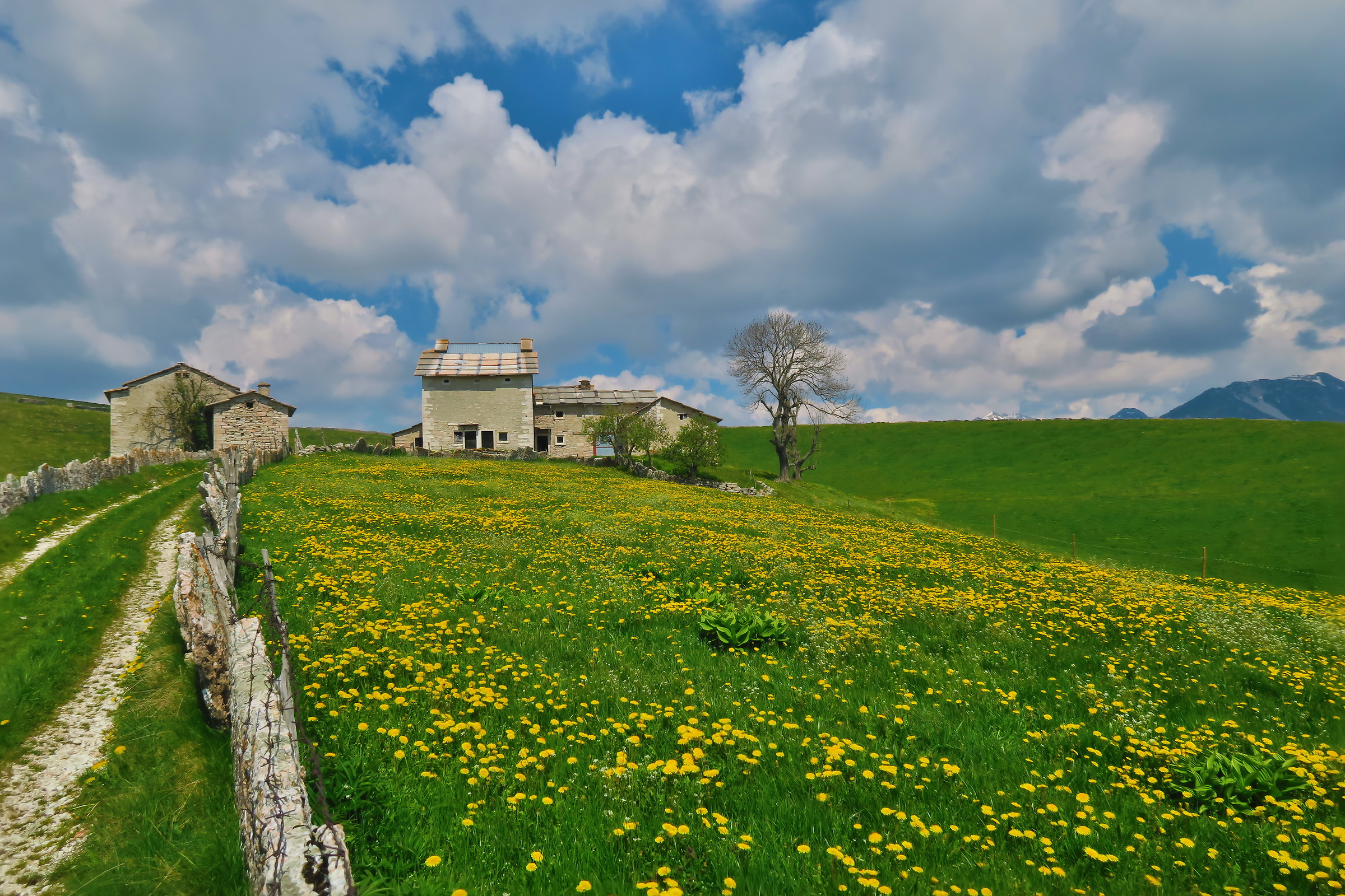 malga sui monti lessini
