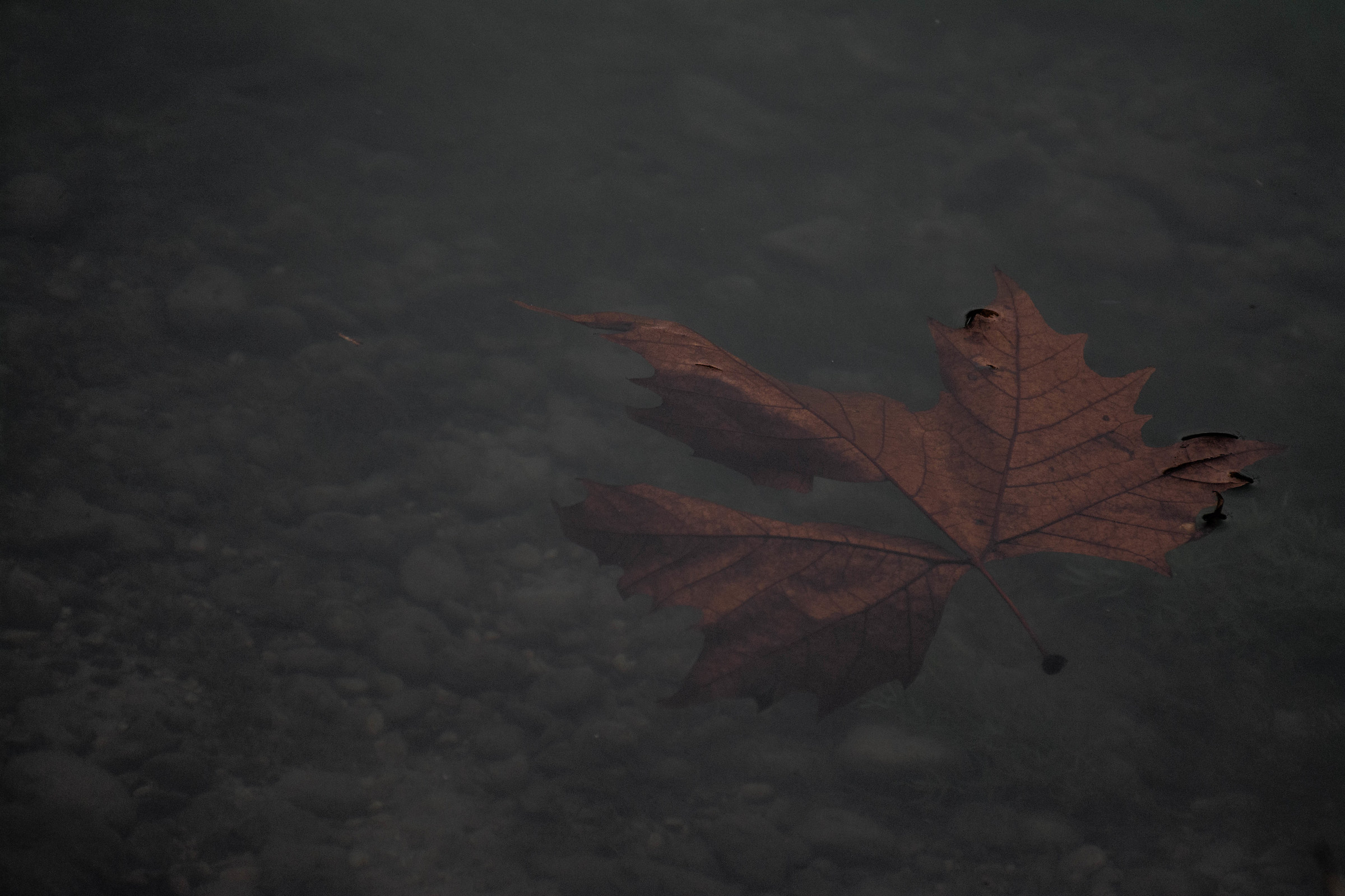 la vecchiaia che fine fa?