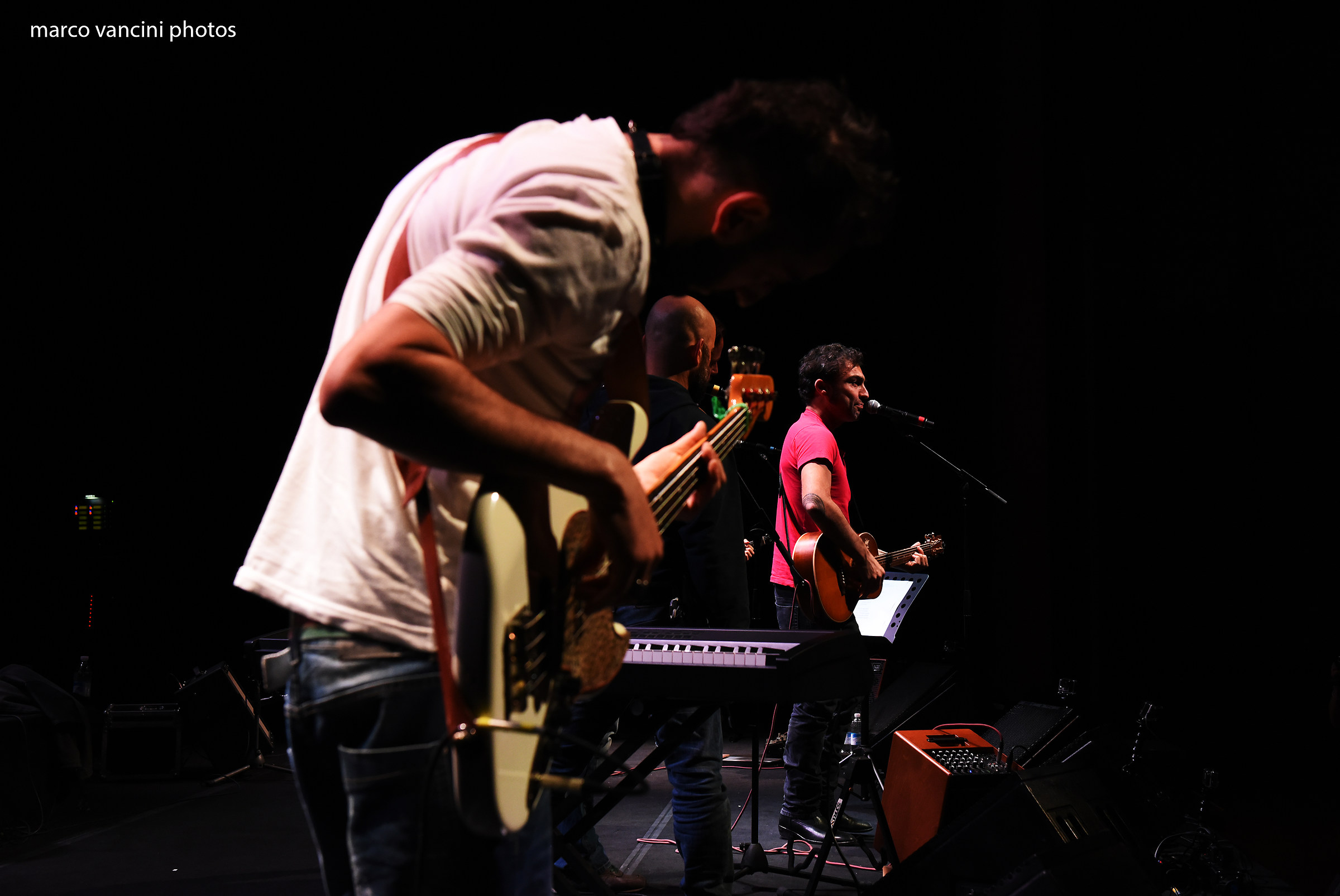 Concerto di Marco Ligabue