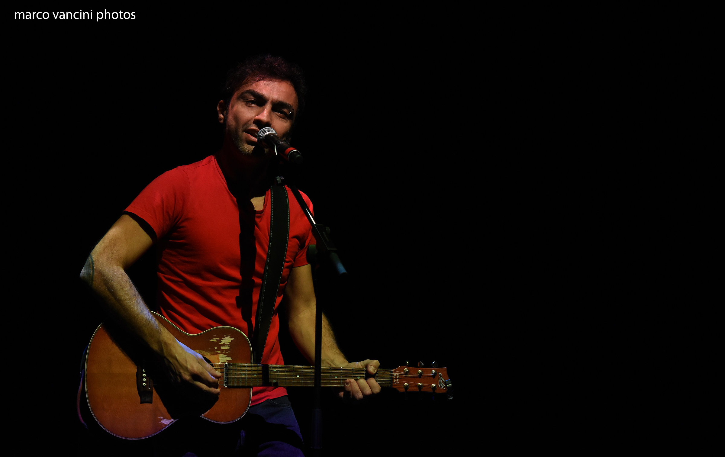 Concerto di Marco Ligabue