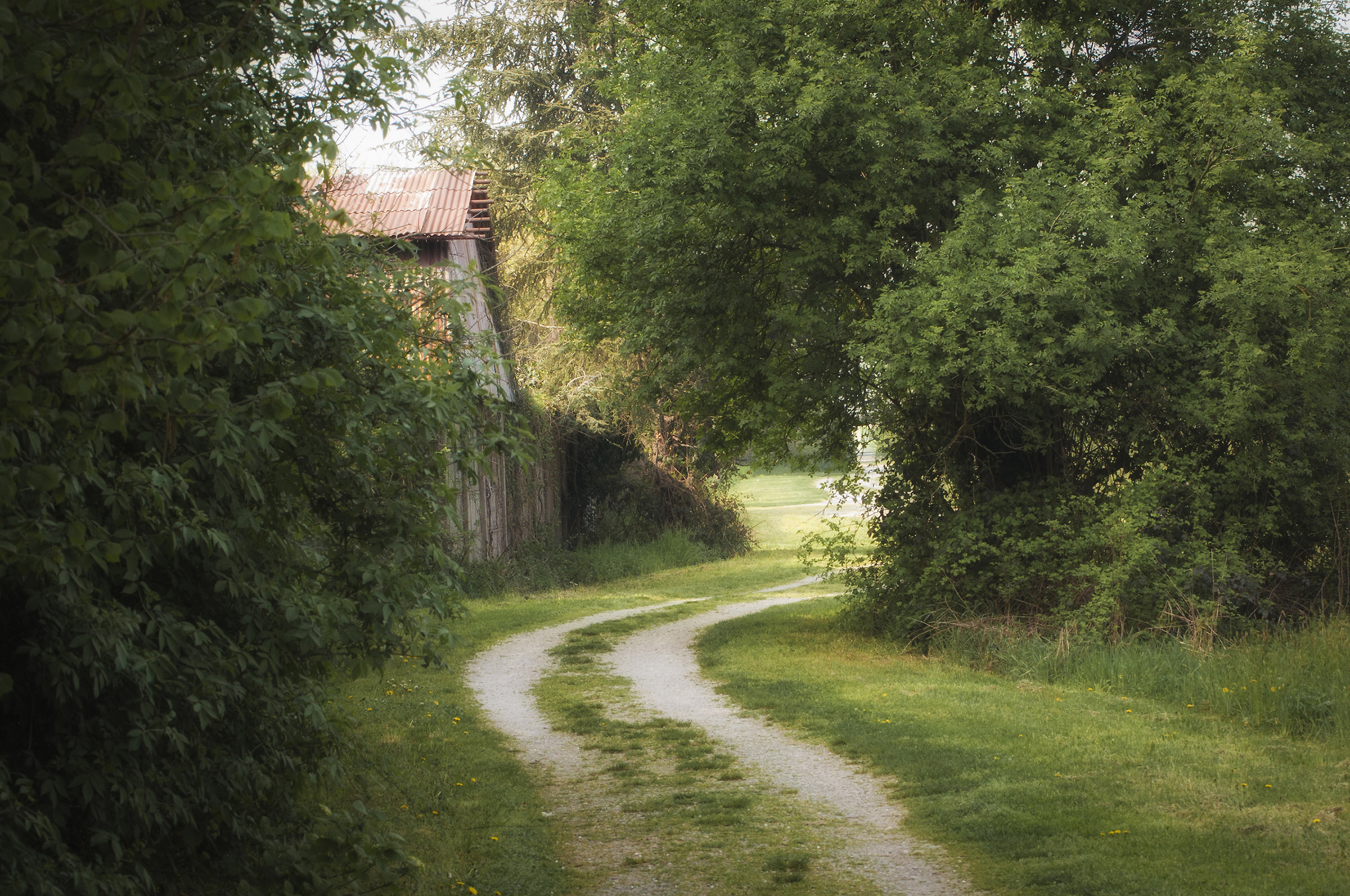 La strada, non è sempre diritta...