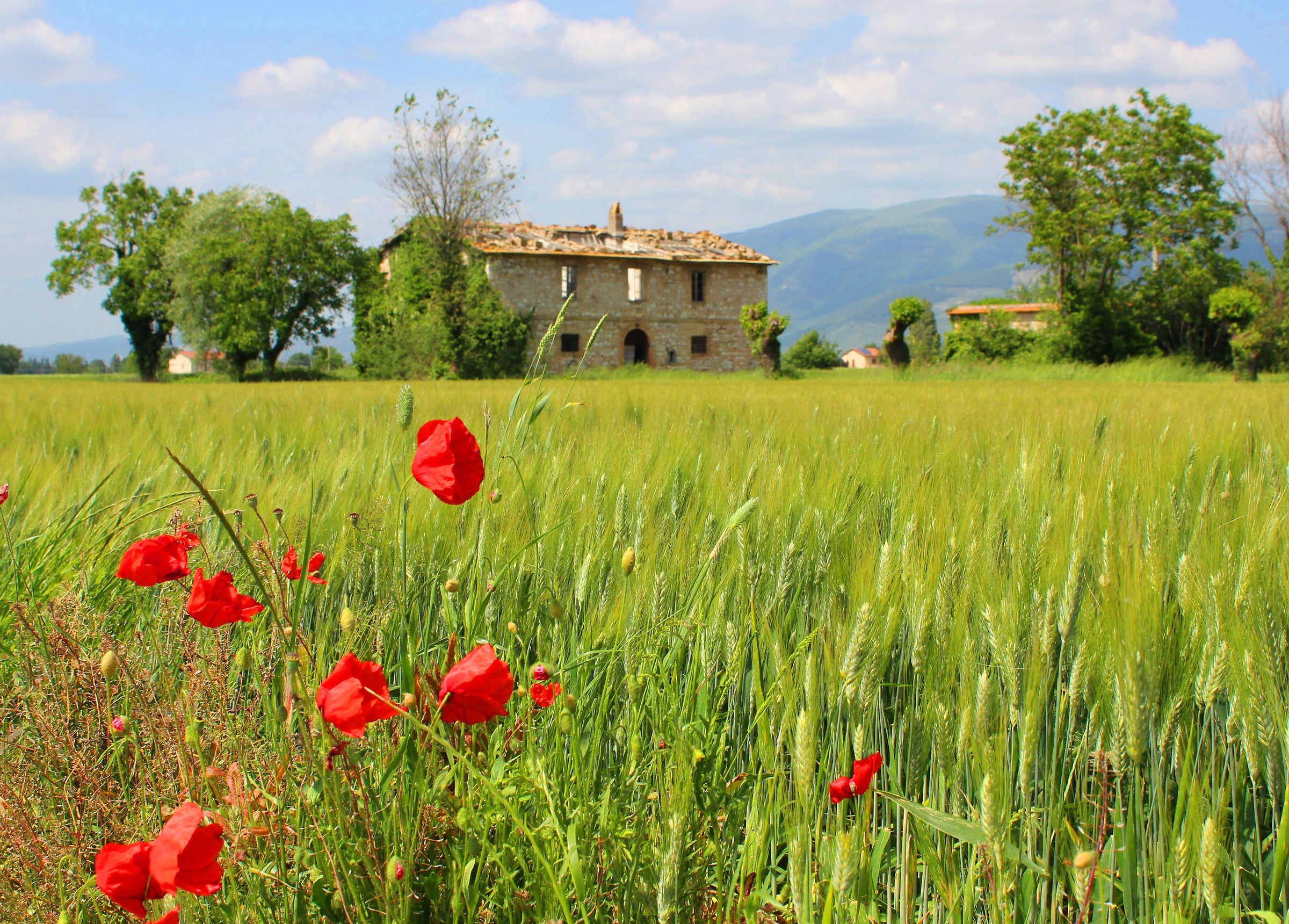Vecchia casa colonica...