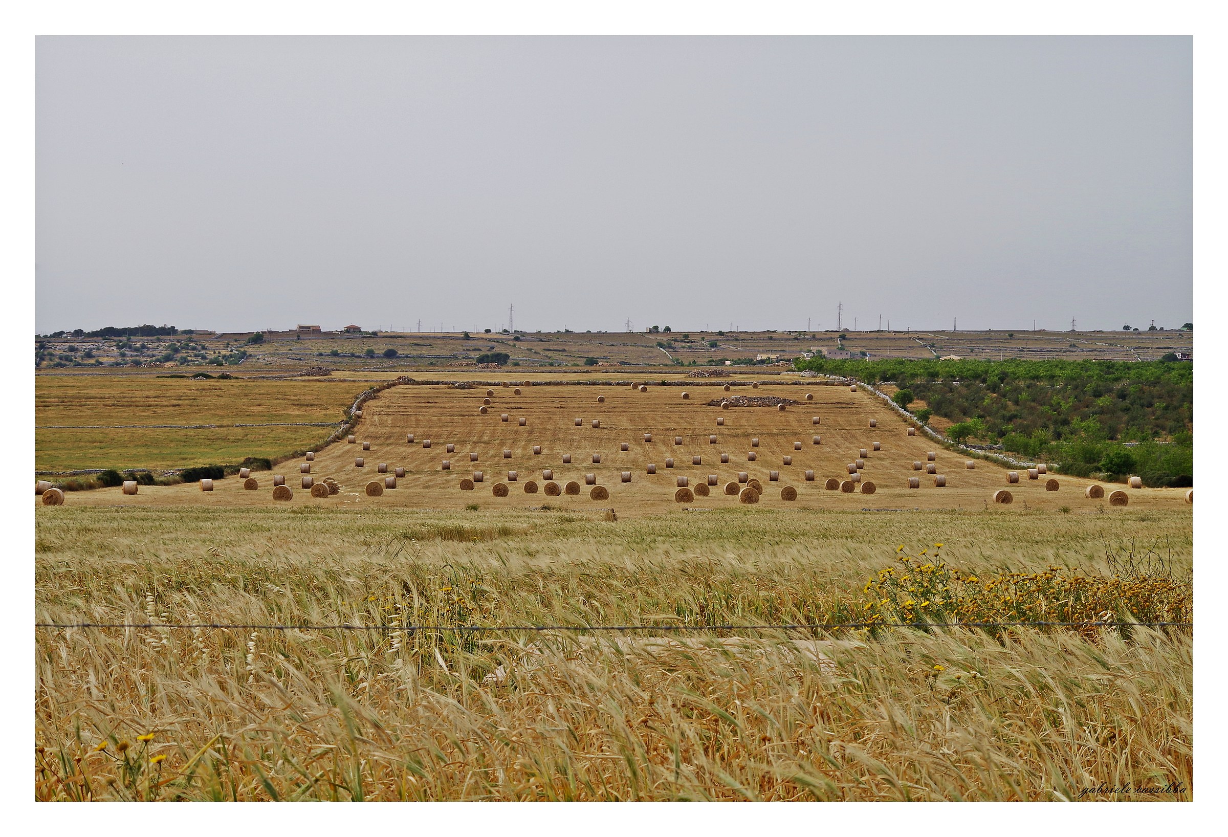 un paesaggio con le "balle"