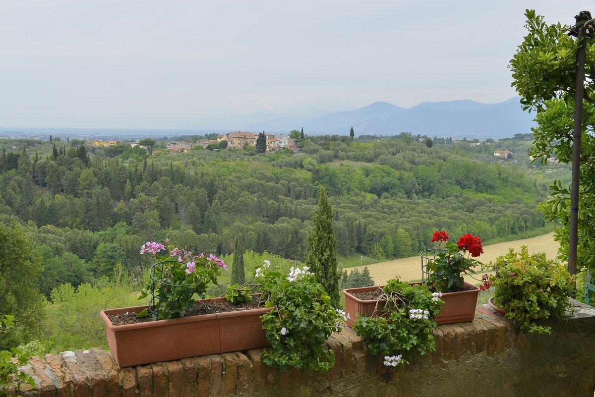 Lari. from the castle