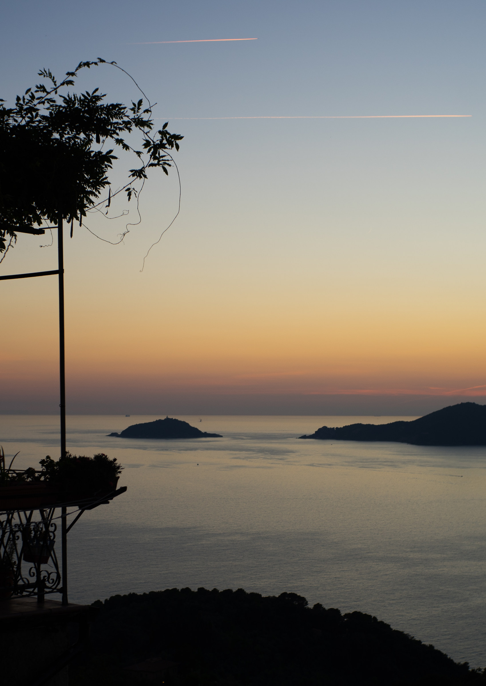 Flora osserva il Tinetto