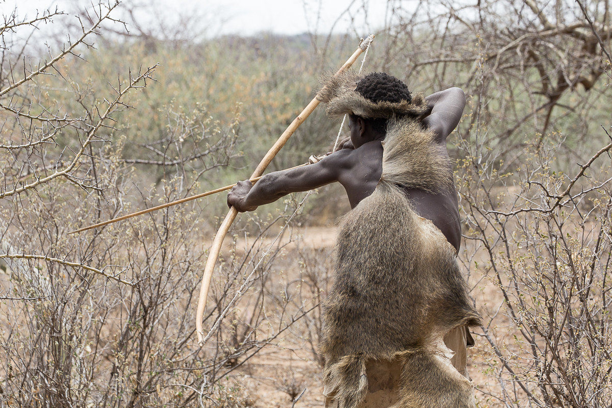 Hadza incredible encounter: Always ready