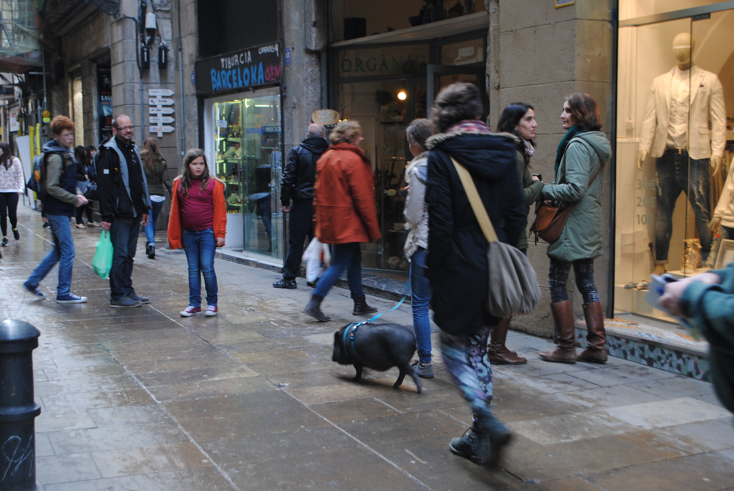 A passeggio con il... maialino!