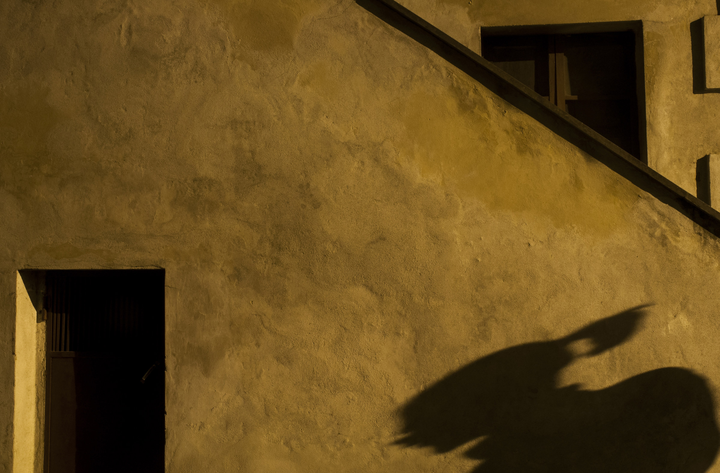 Riflessioni notturne