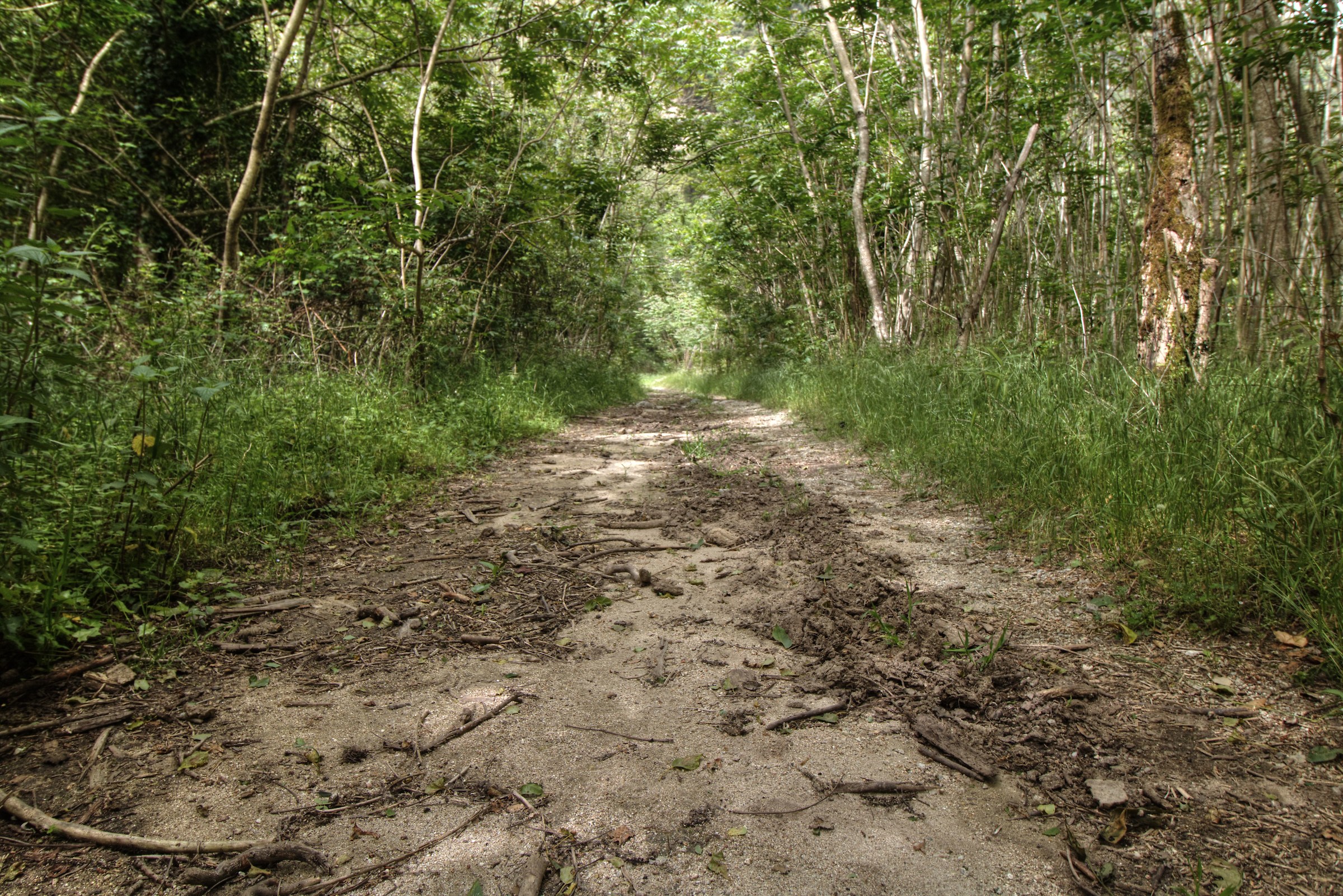 Along the riverbank.