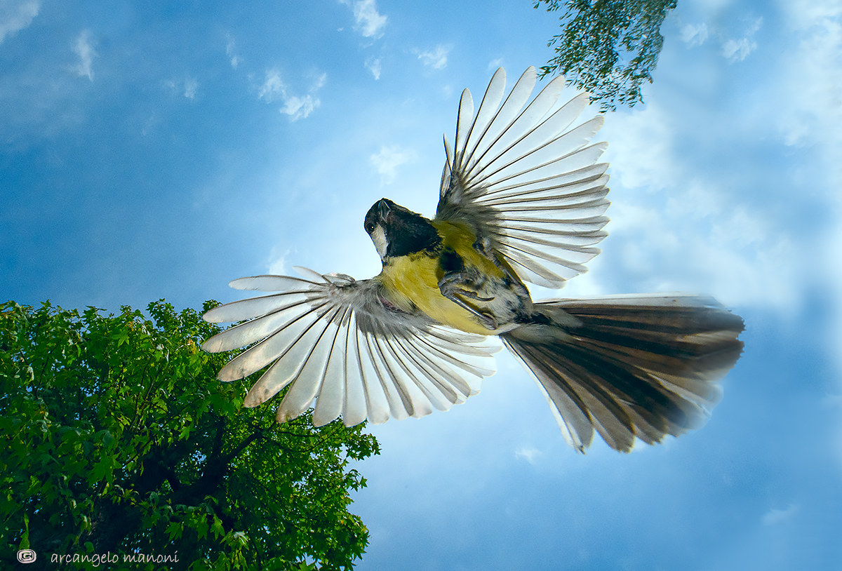 Sbucata da una nuvola
