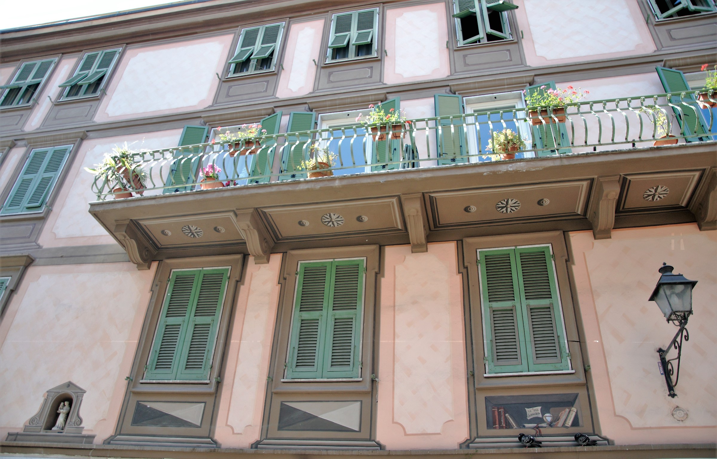 Pigeons are Veri ...