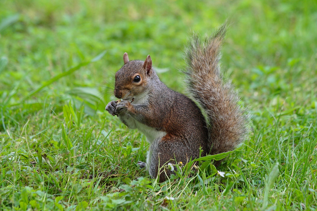 che hai da guardare ?