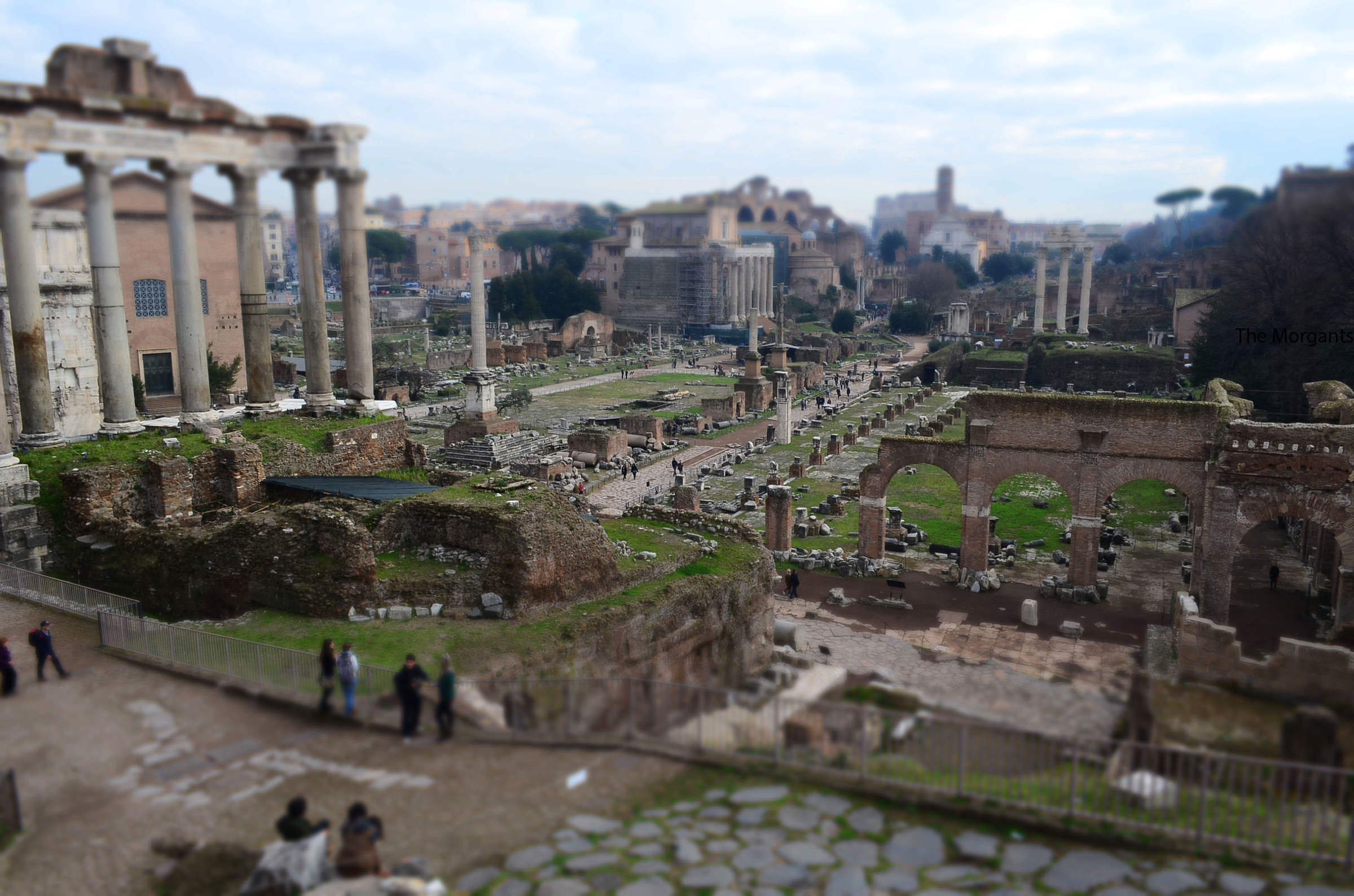 Fori occhio di pesce