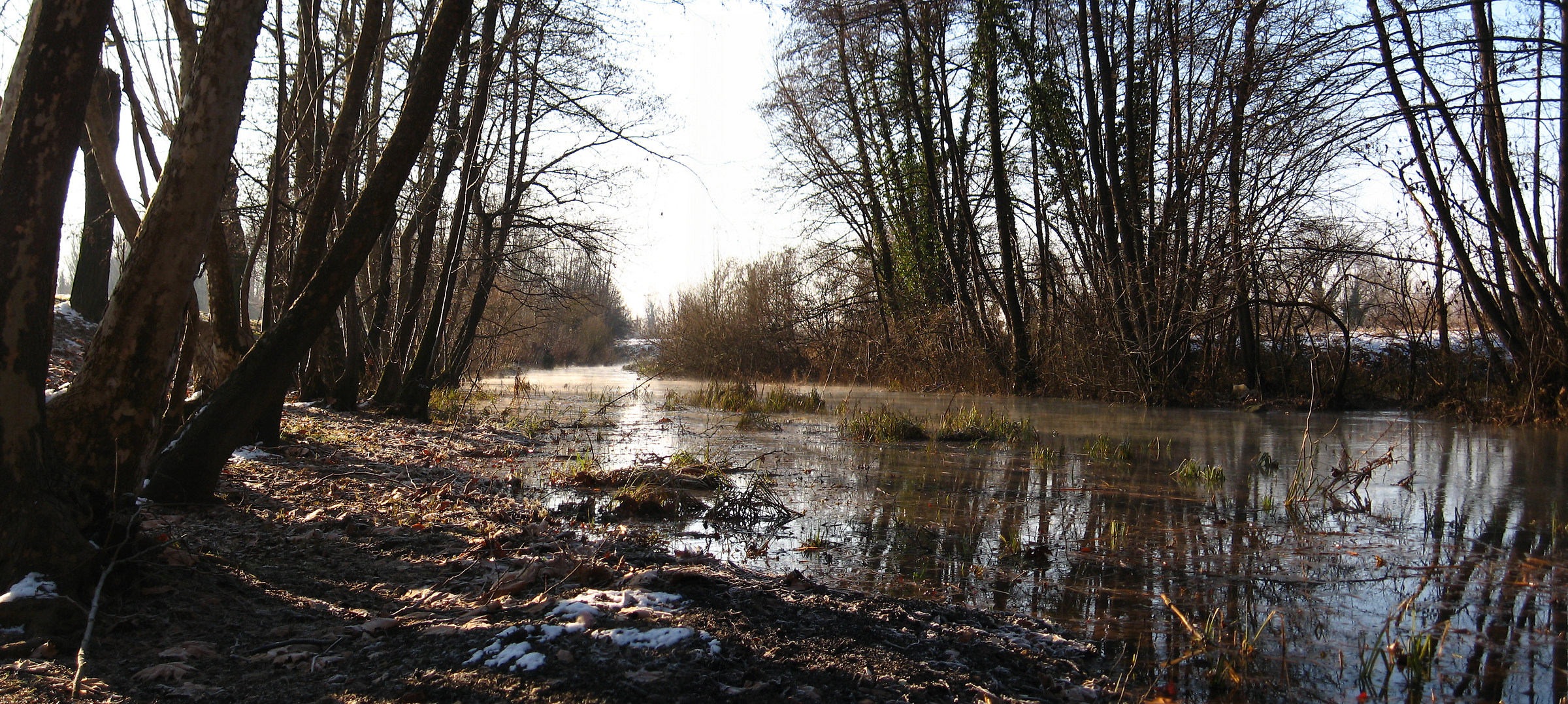 Bacchiglione sources