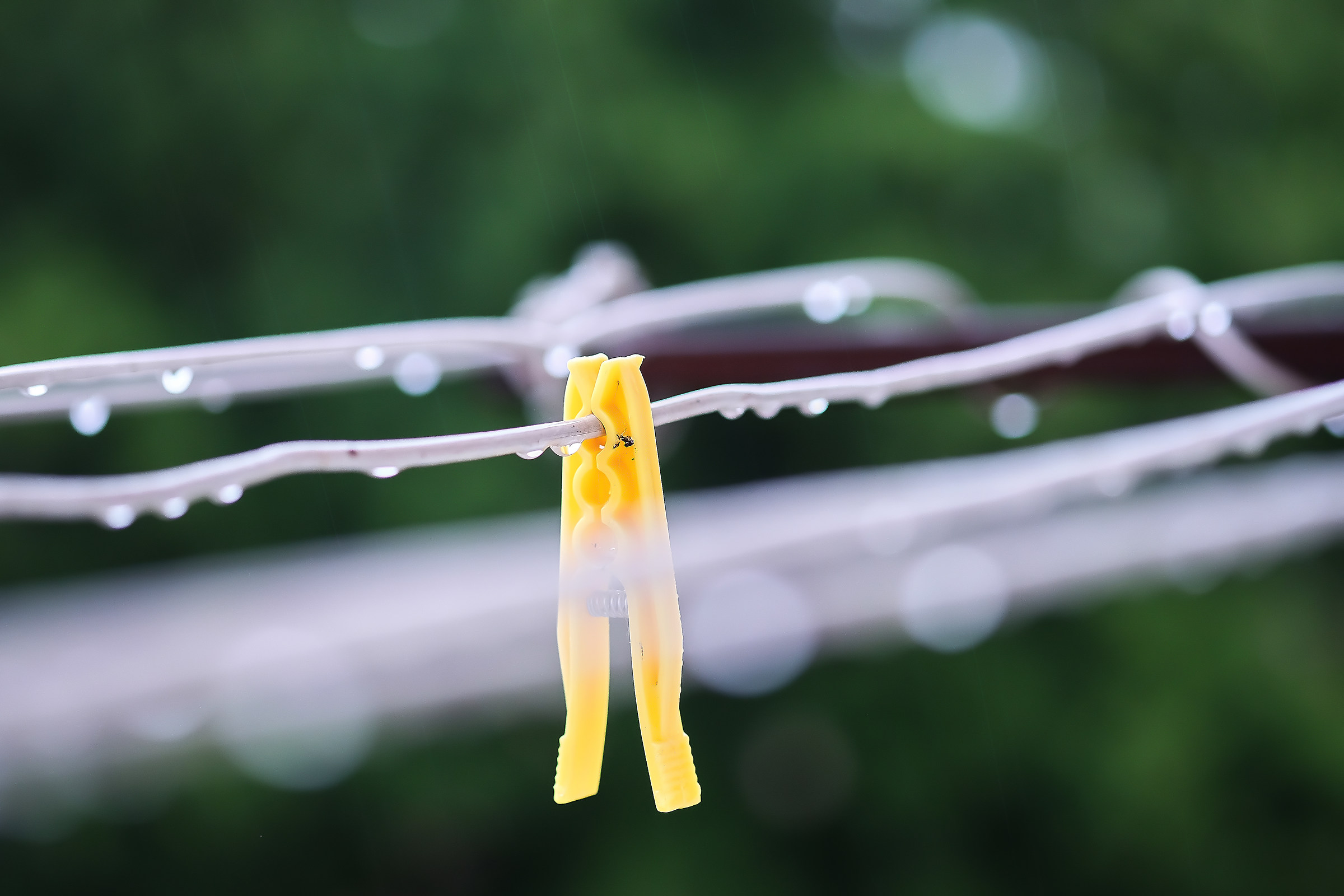 Hanging by a thread.