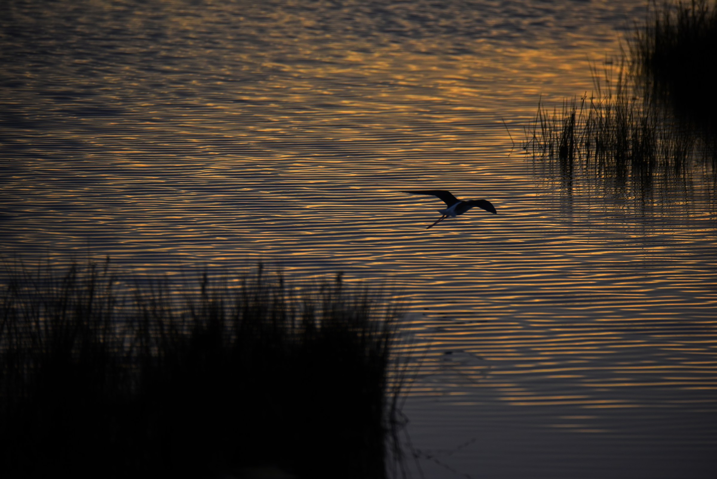sunset in the lagoon