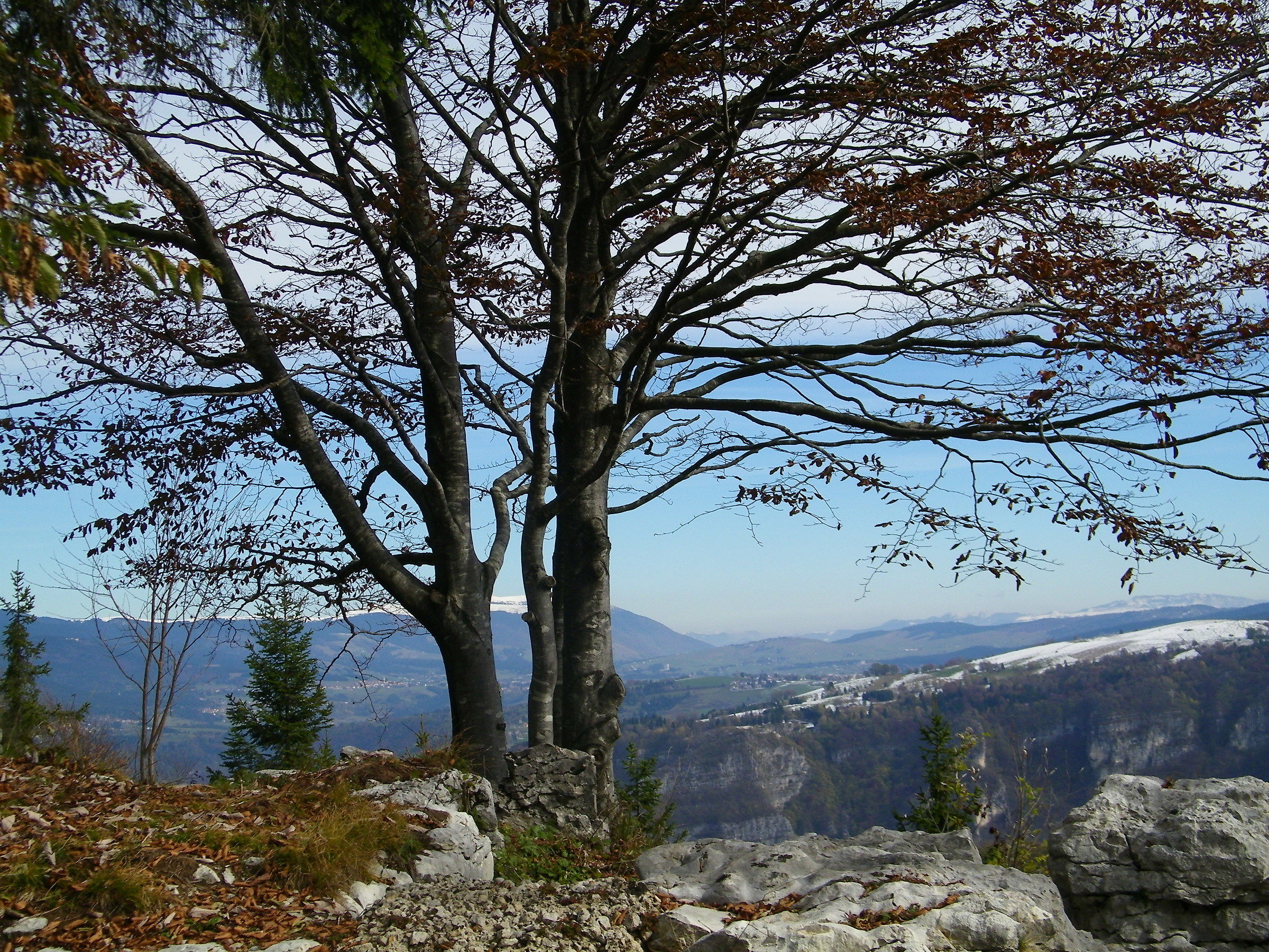 L'altopiano di Asiago dal monte Cimone