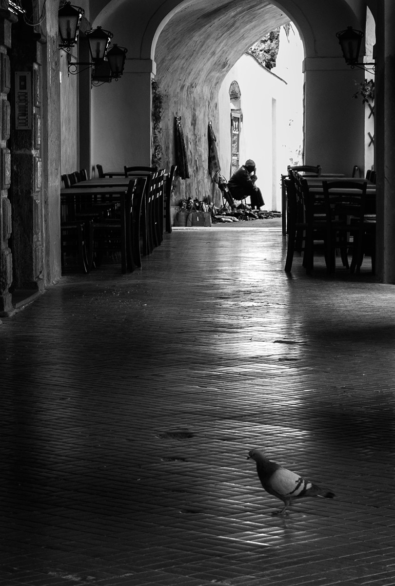 Vorrei tanto volare...