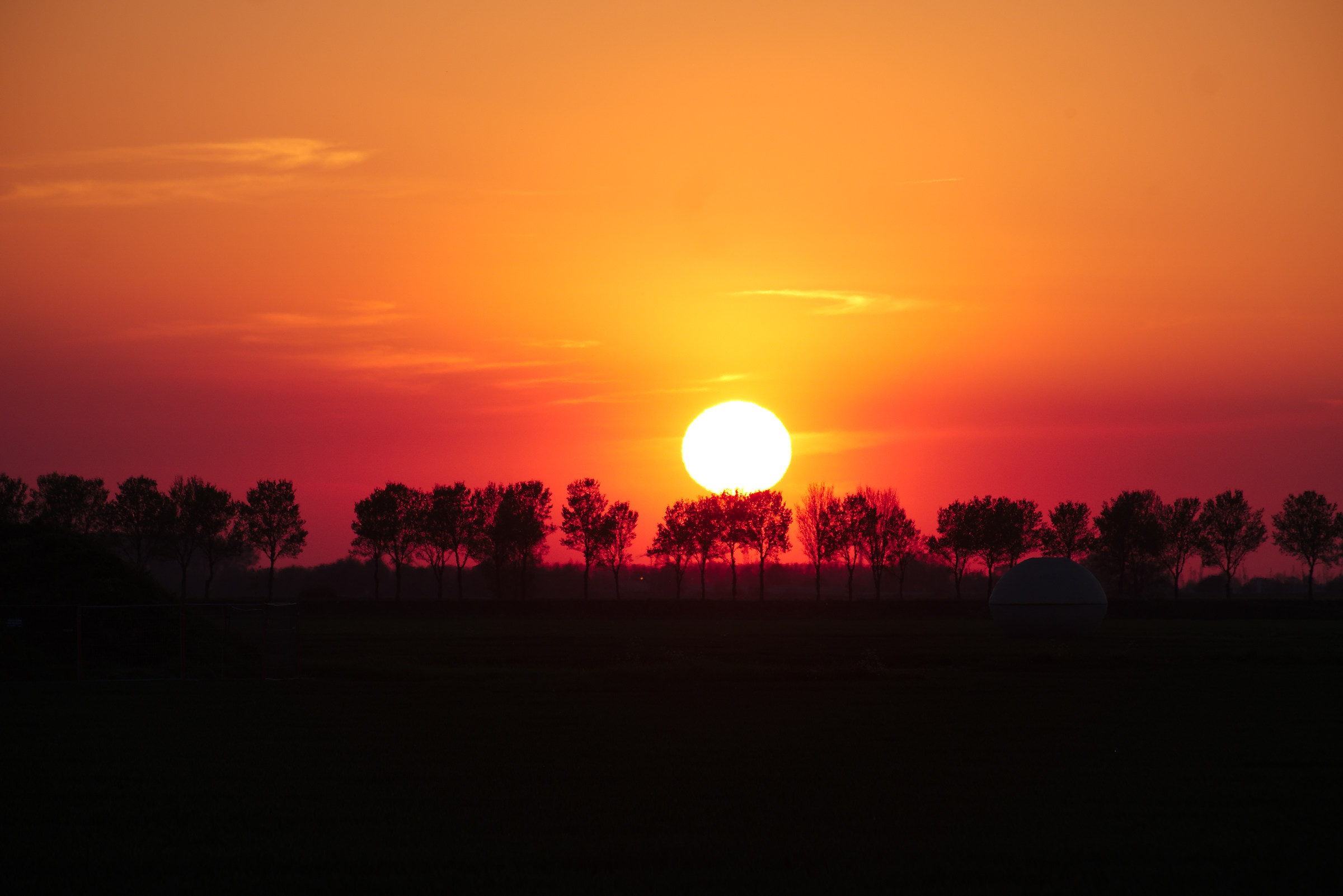 netherlands savannah