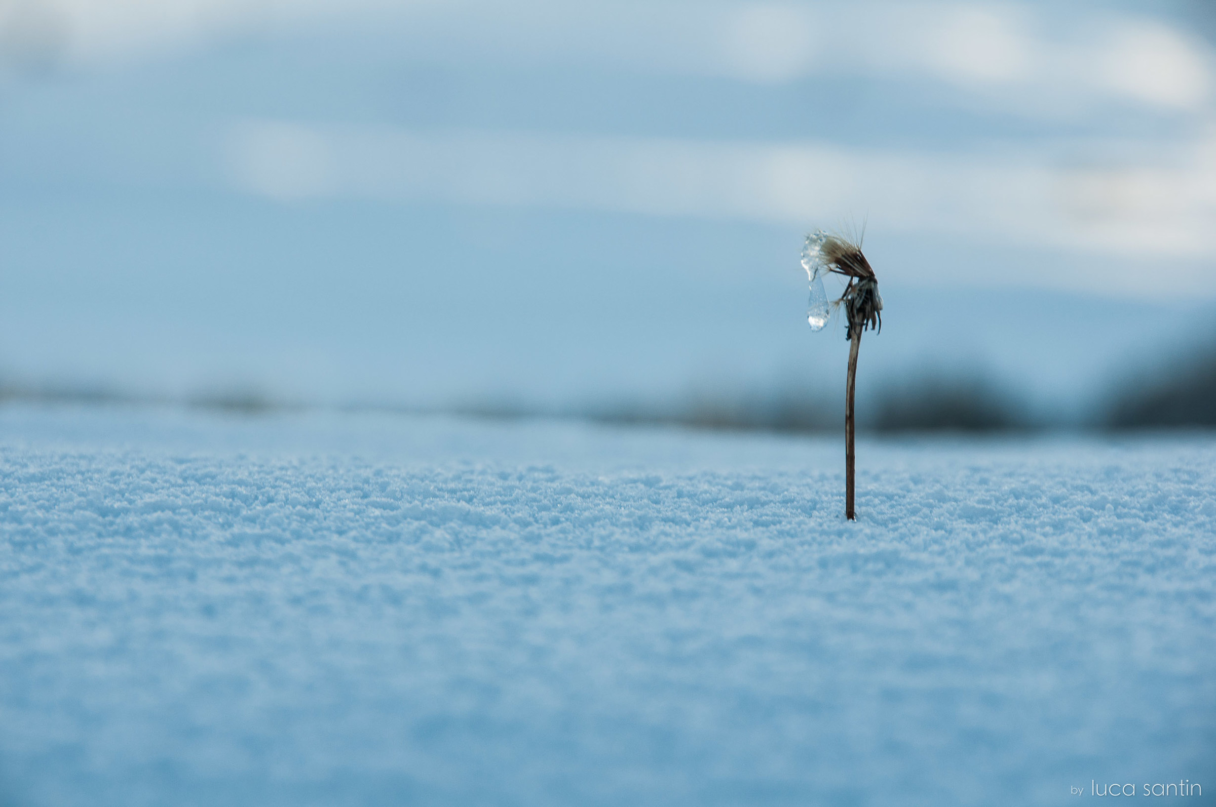 L'inverno è arrivato!