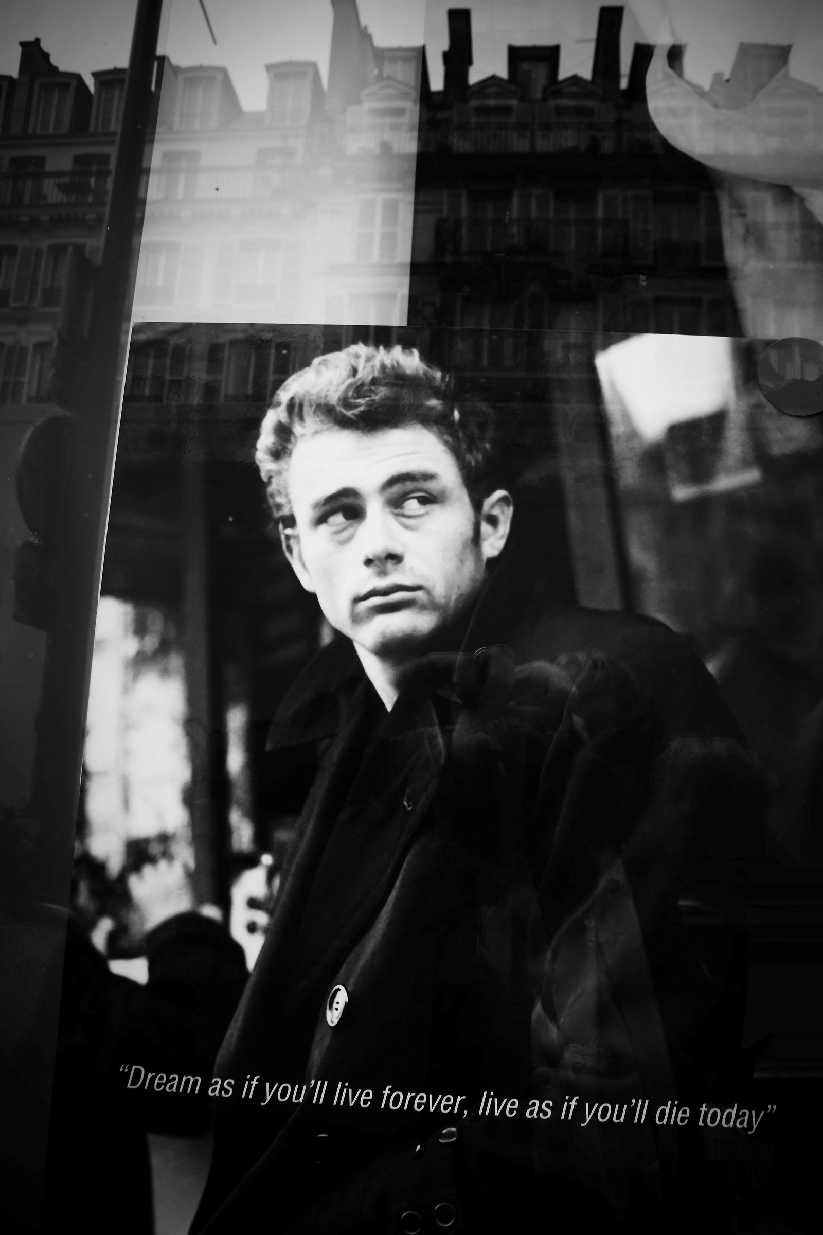 Tribute to Dennis Stock