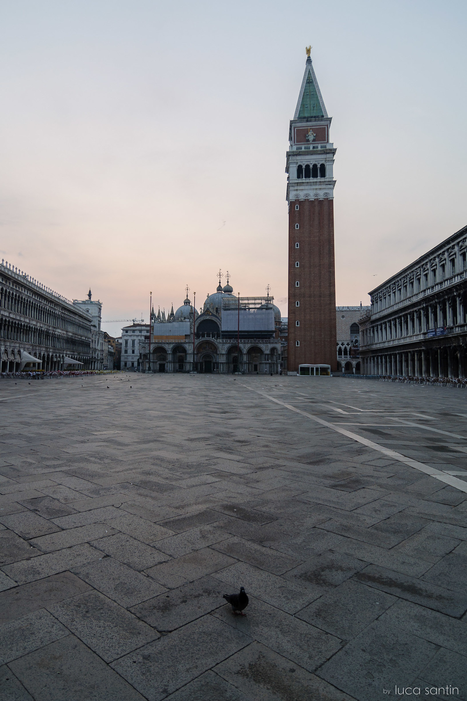 Piazza San Marco si risveglia