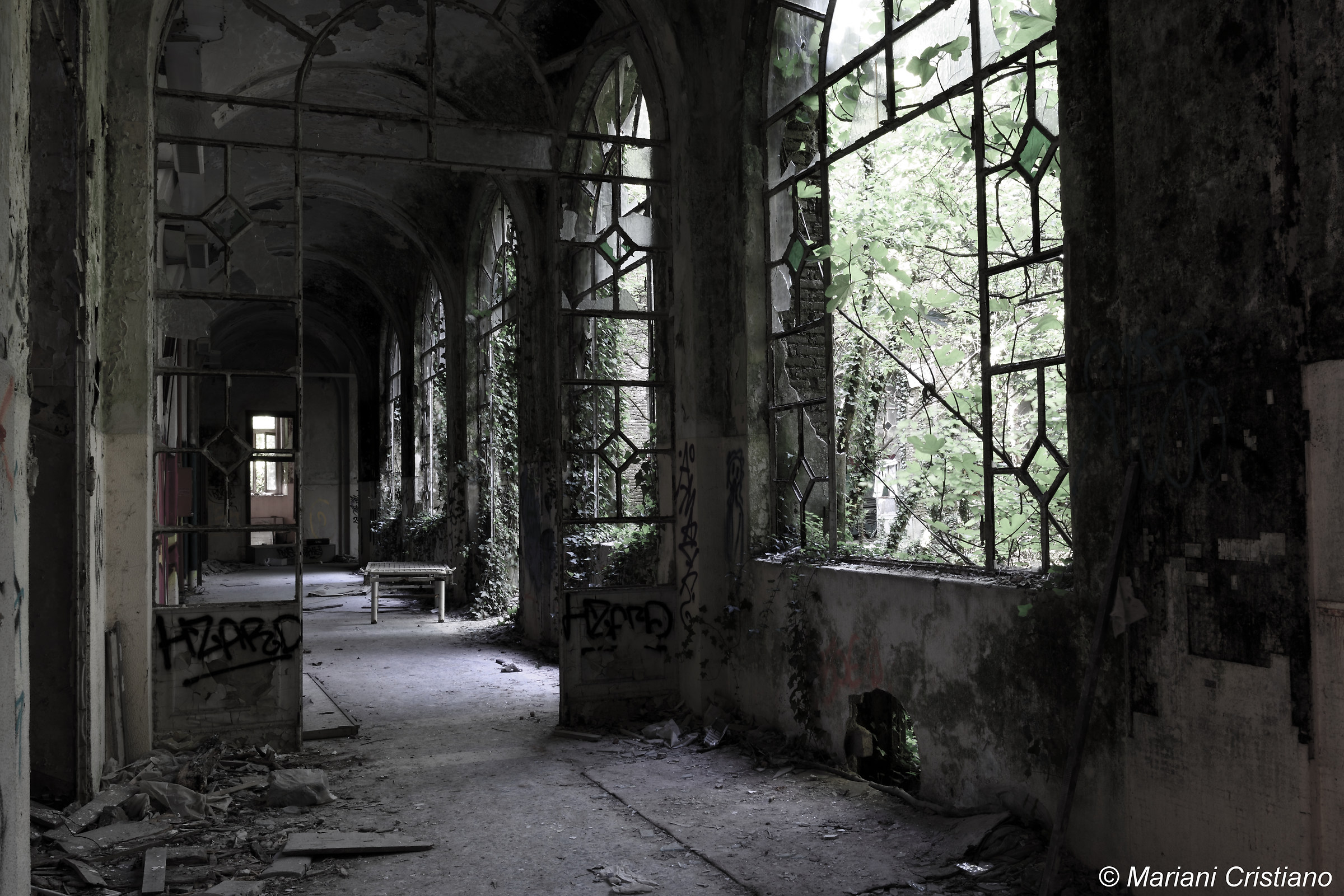 psychiatric hospital G. Antonini