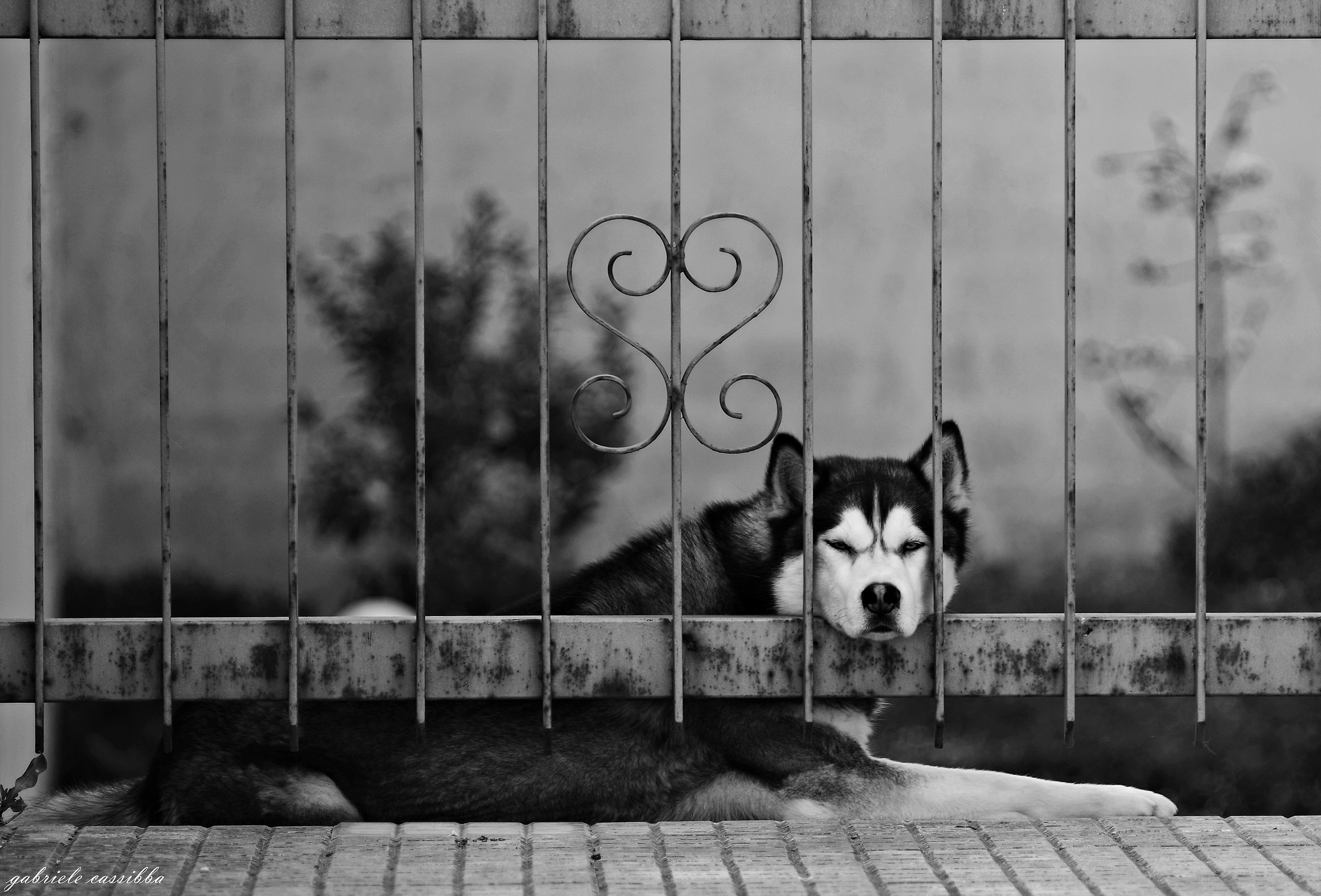 that thou hast to look ?!