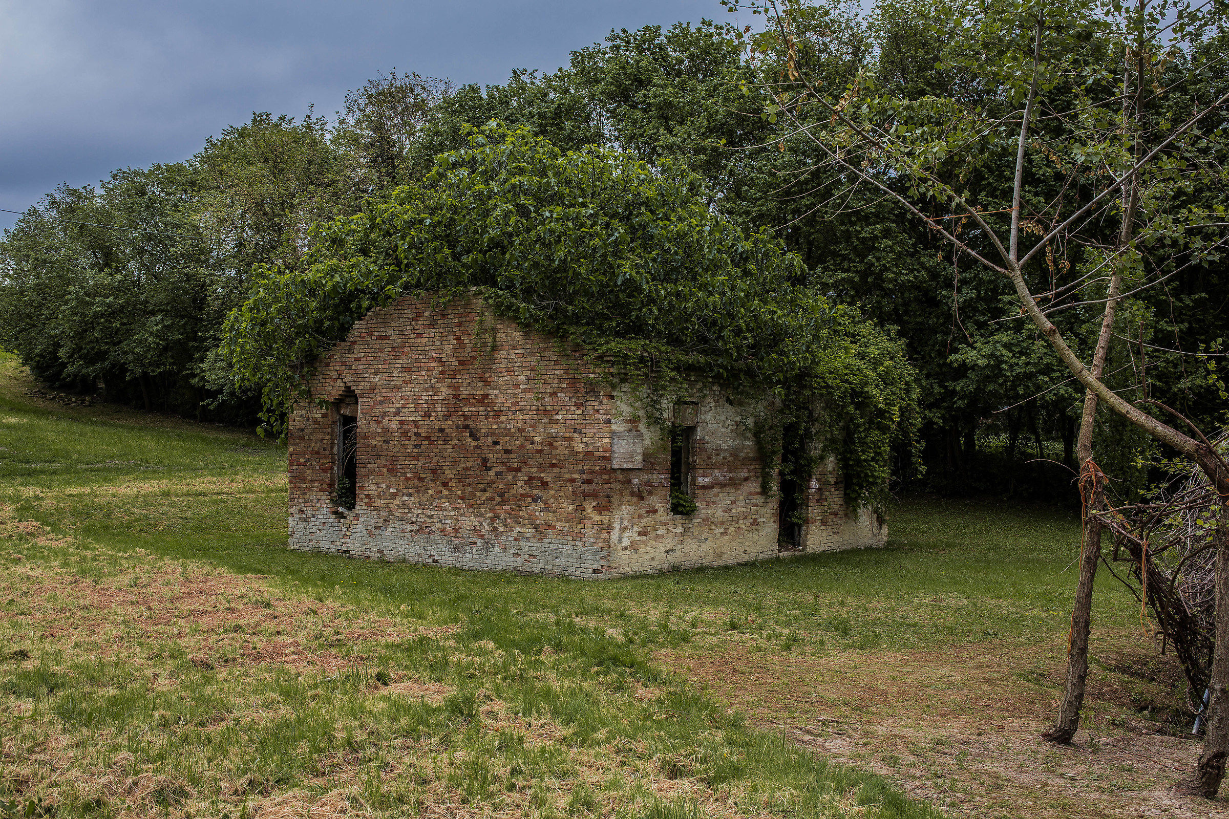 A green roof