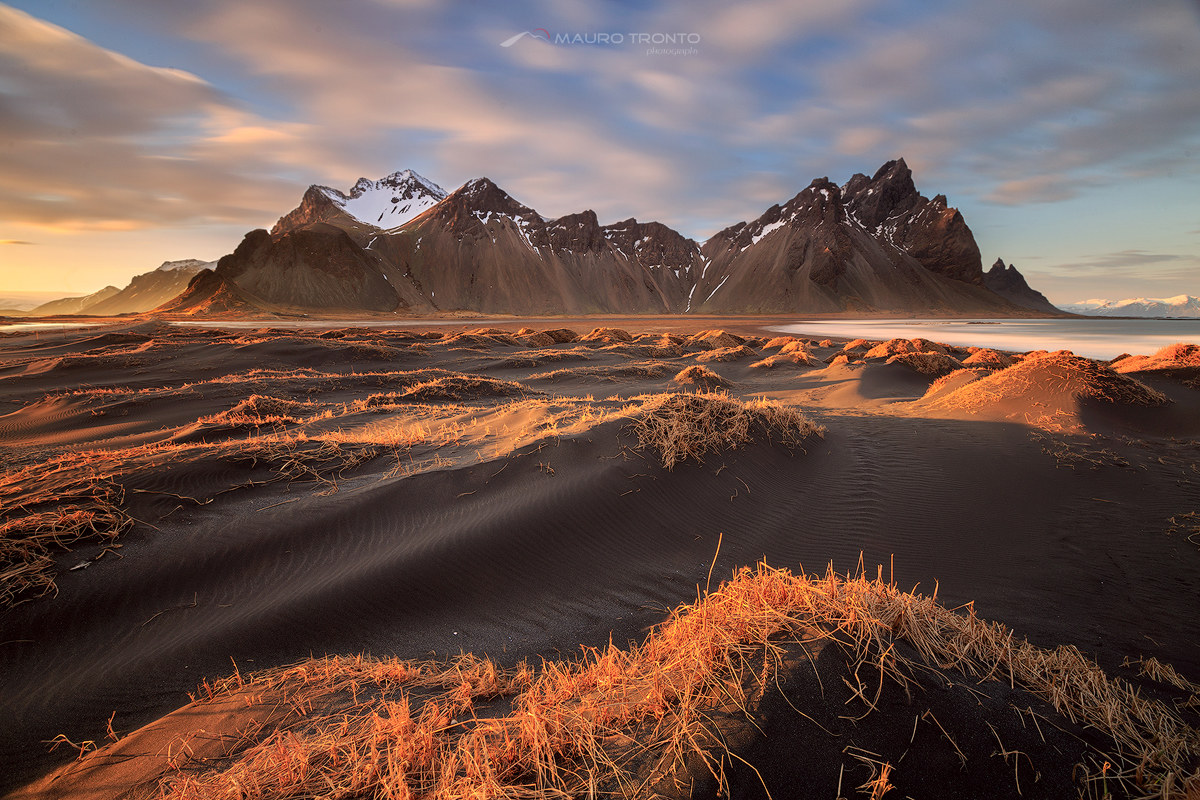 Whispers in the Wind